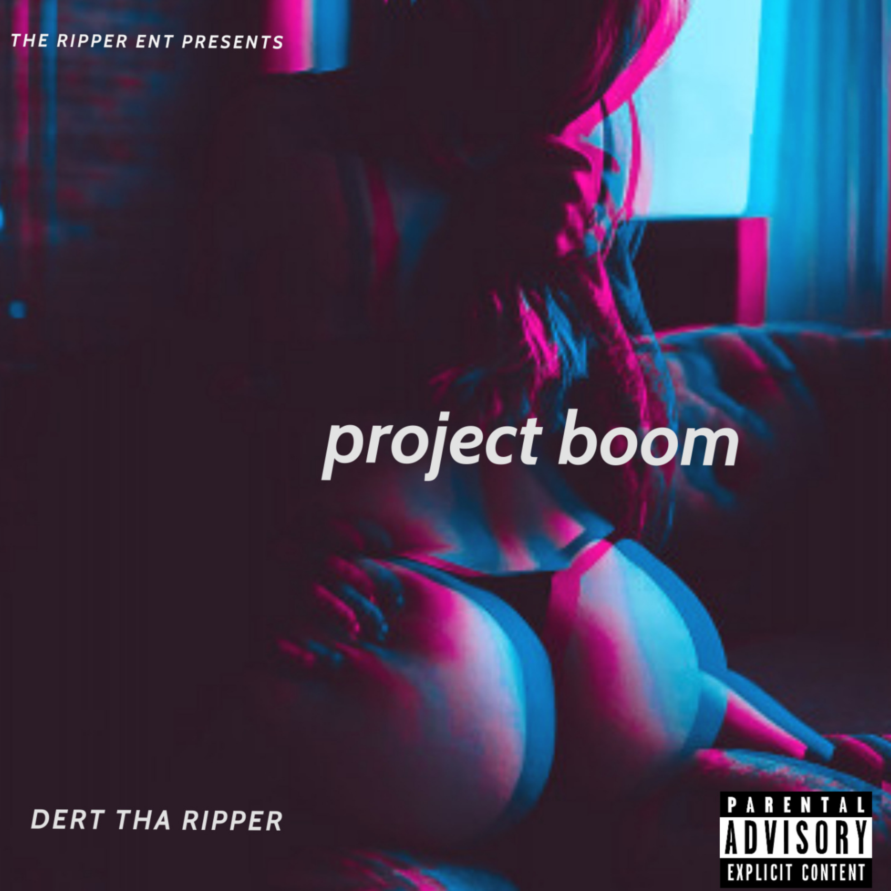 PROJECT BOOM artwork