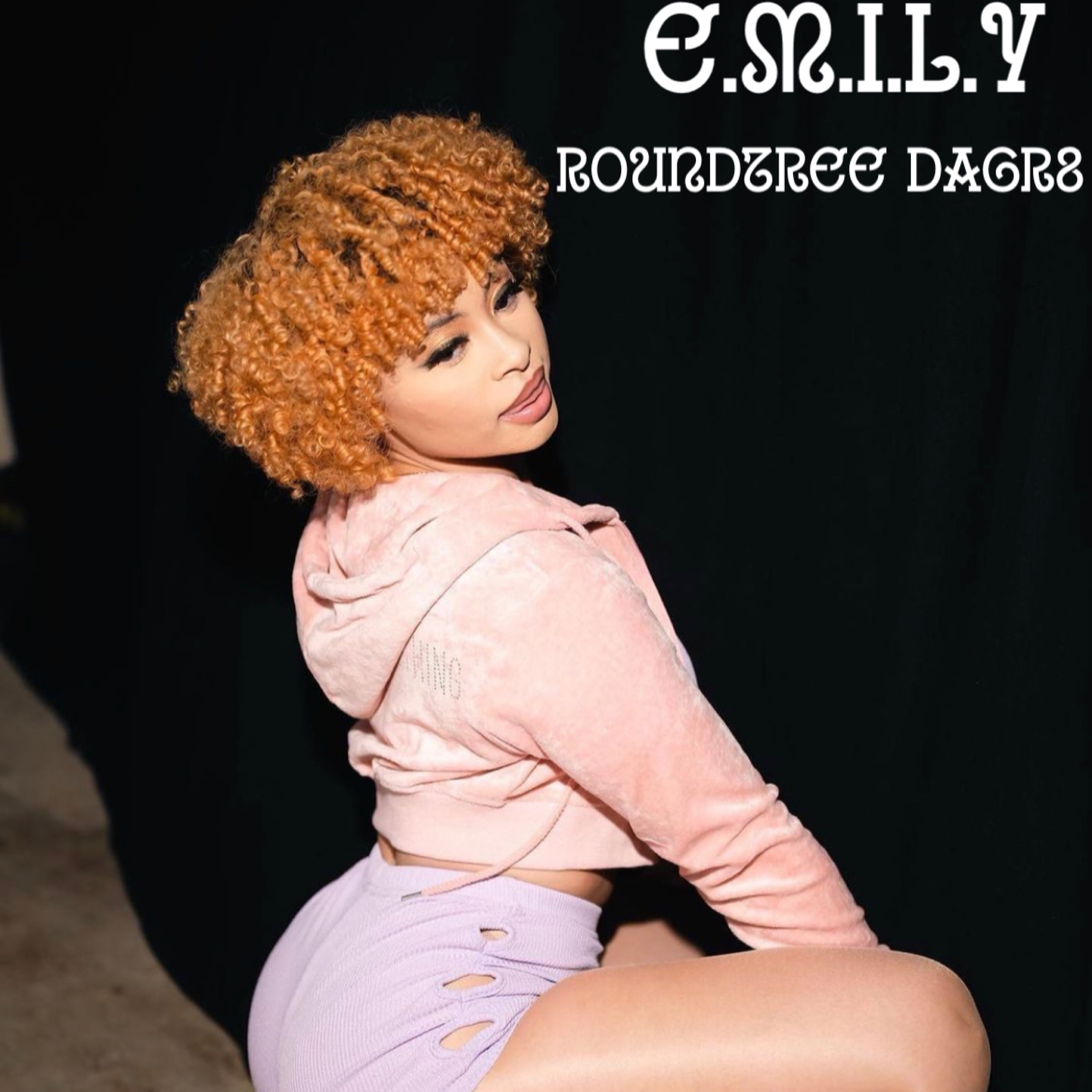 Em, I.L.Y by Roundtree DaGr8 cover art