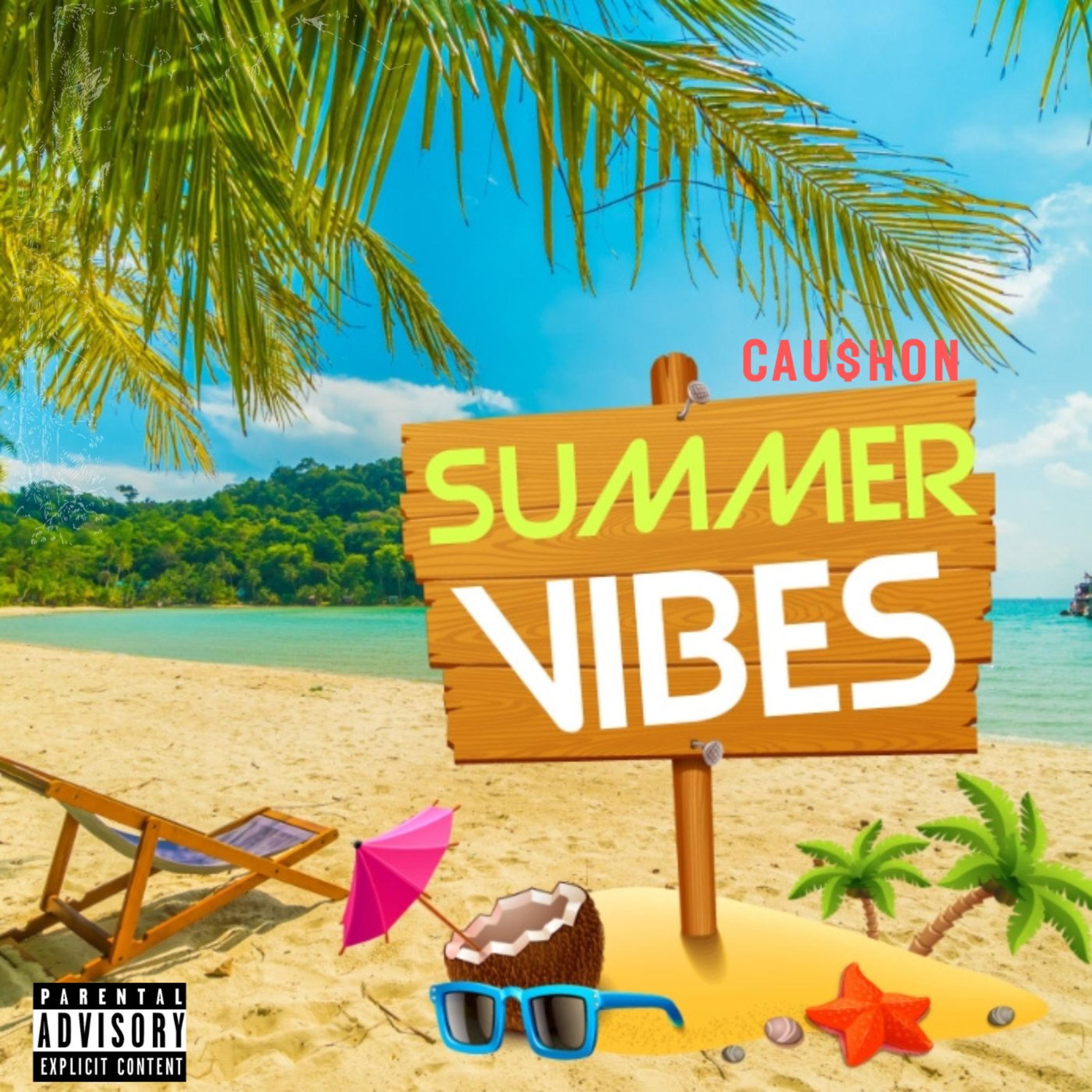Summer Vibz artwork