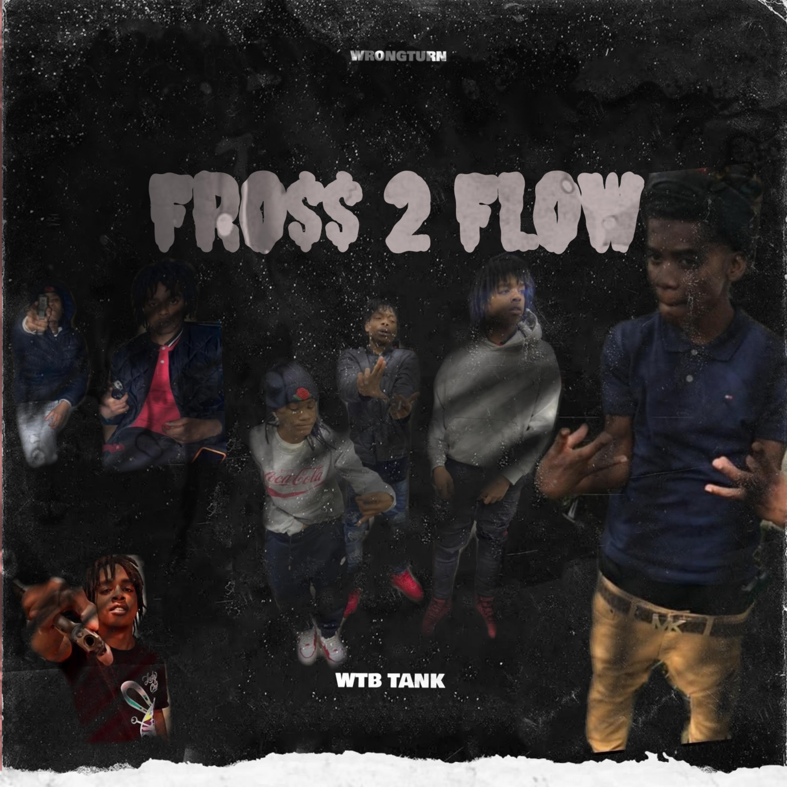Fross 2 Flow artwork
