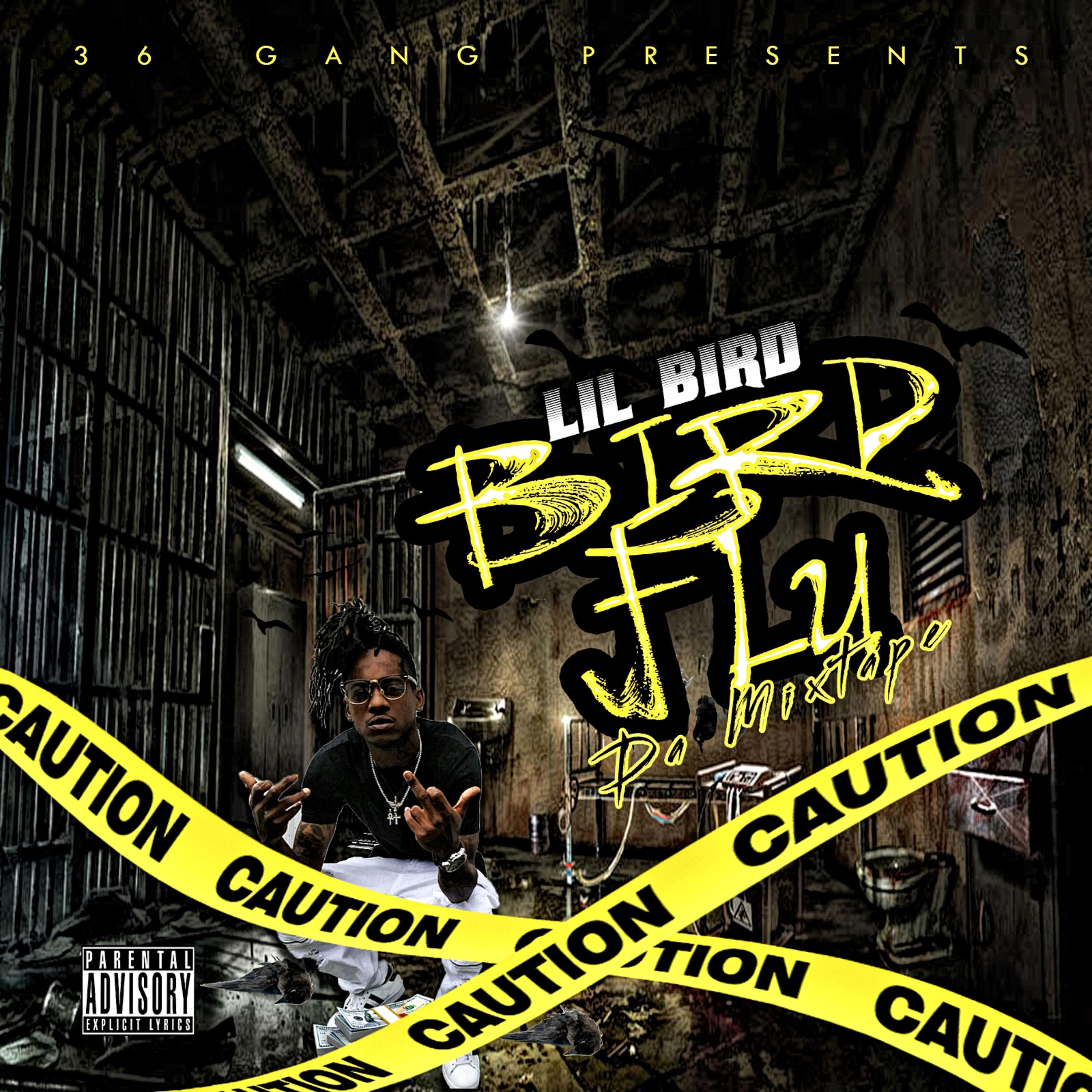 Bird Flu artwork