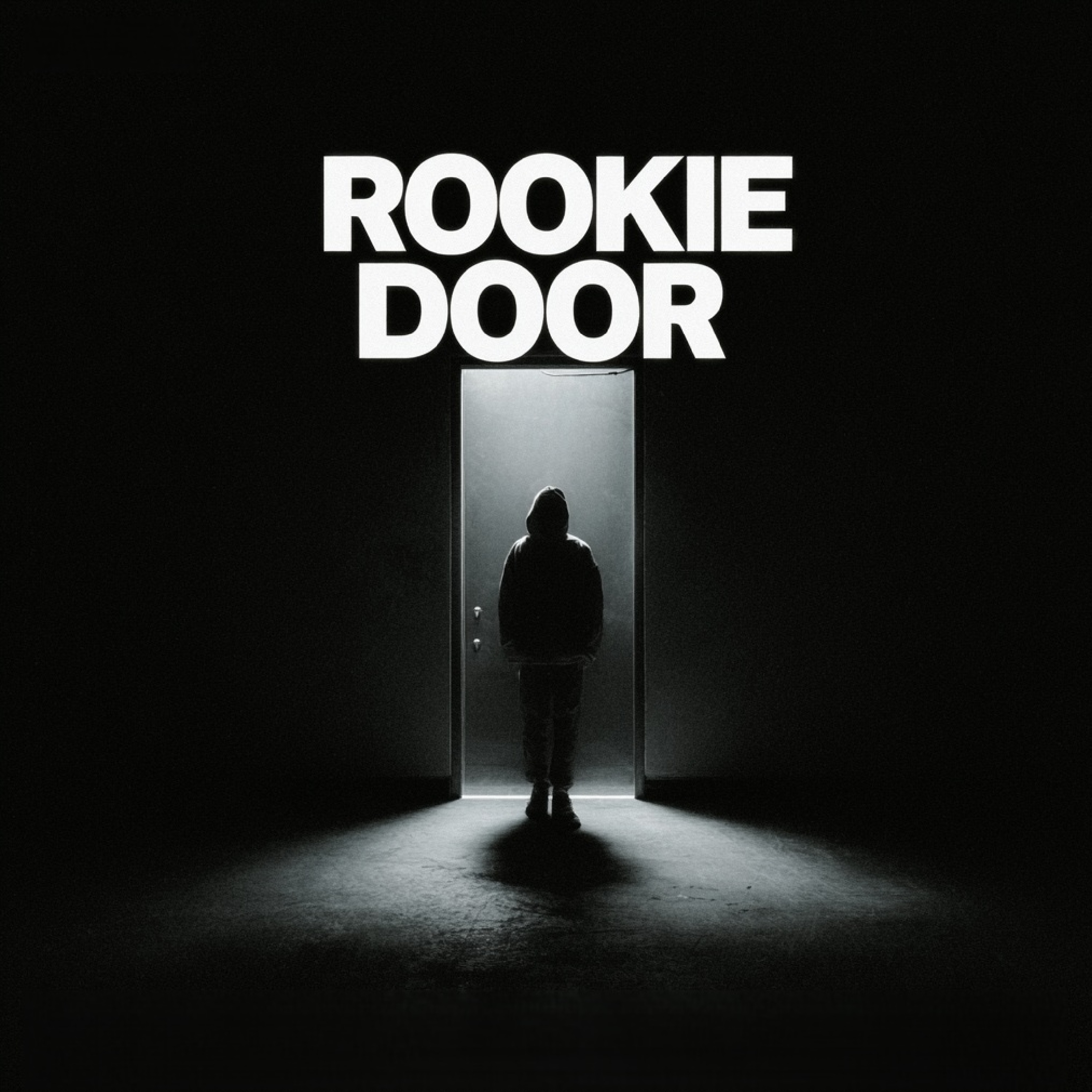 ROOKIE DOOR artwork