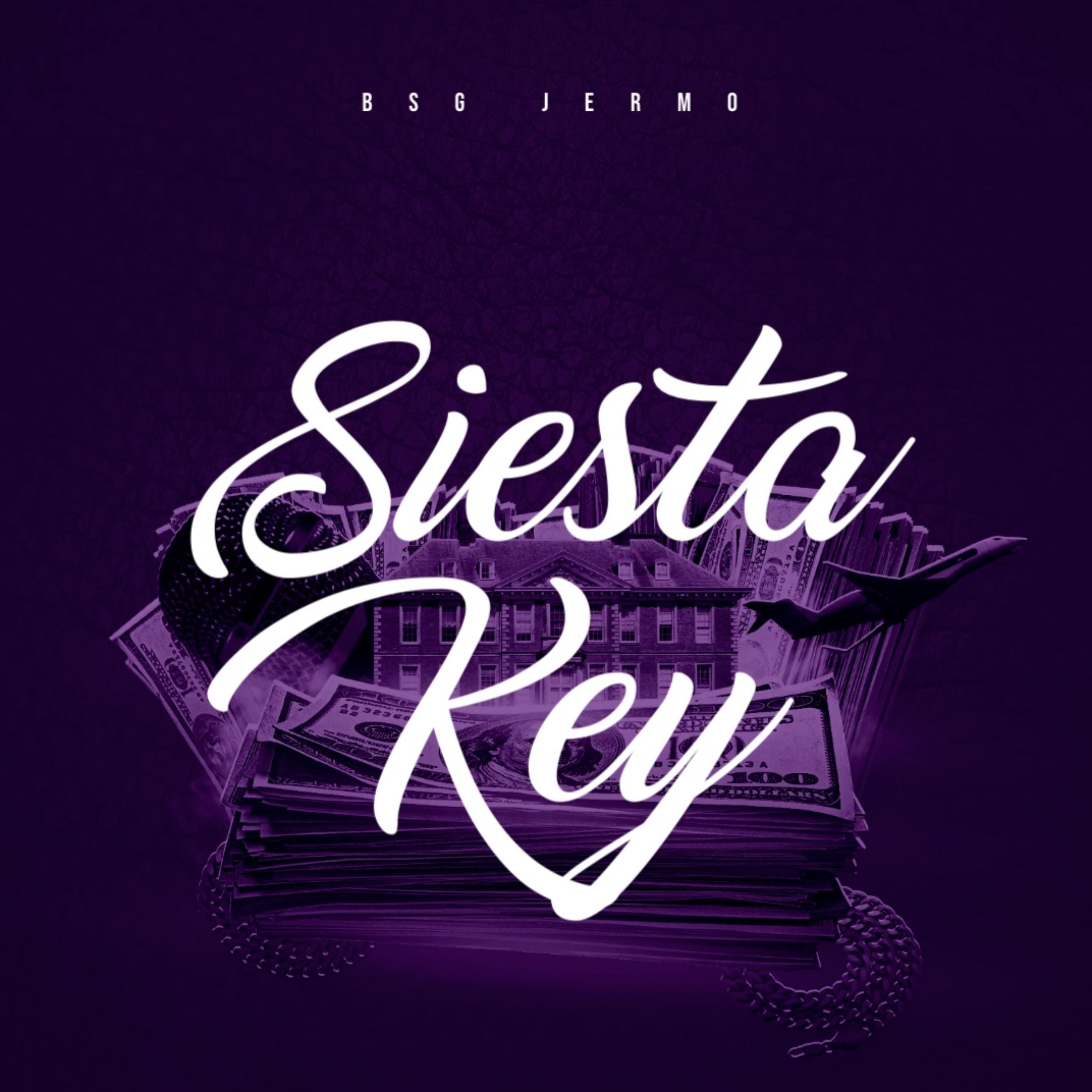 Siesta Key artwork