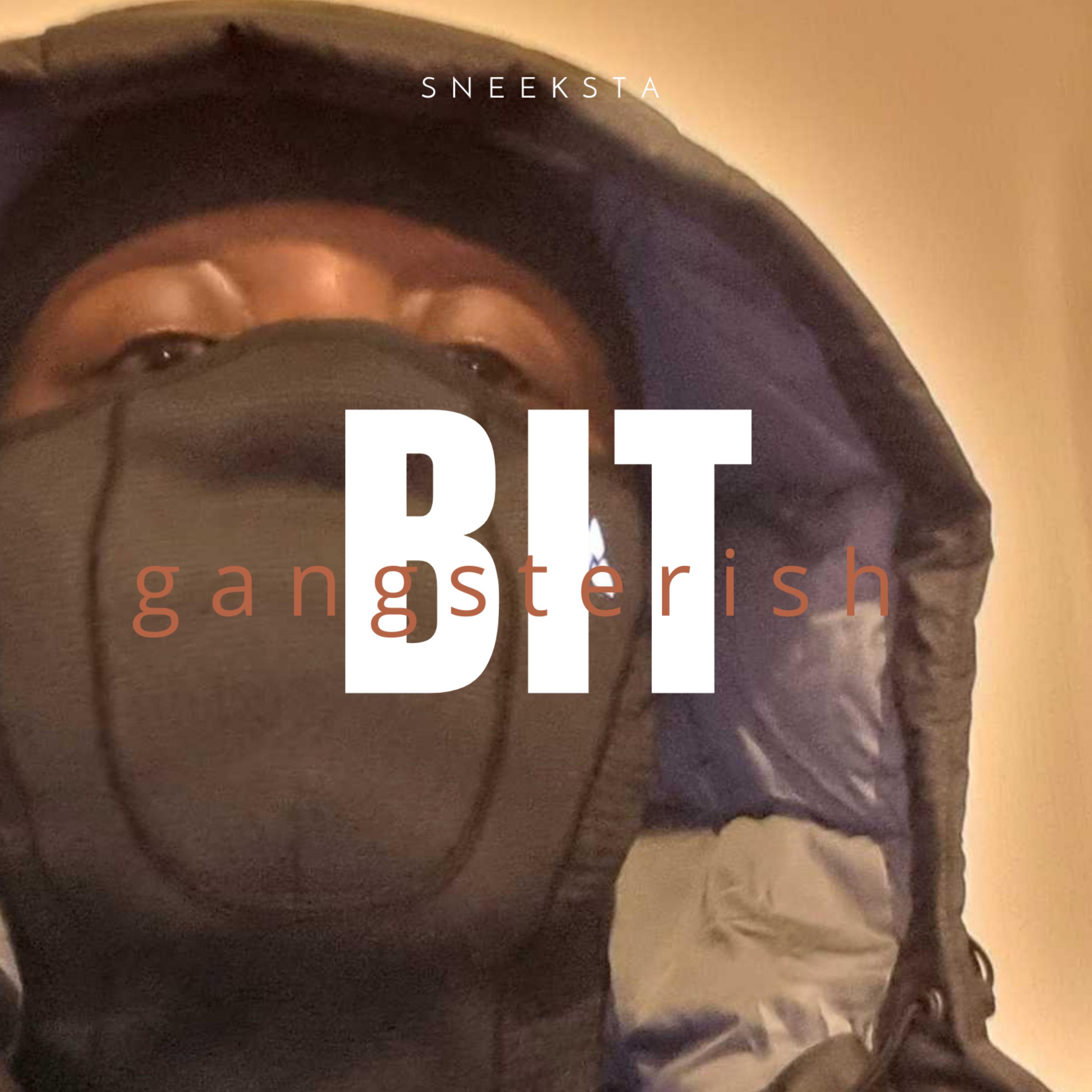 Bit Gangsterish artwork