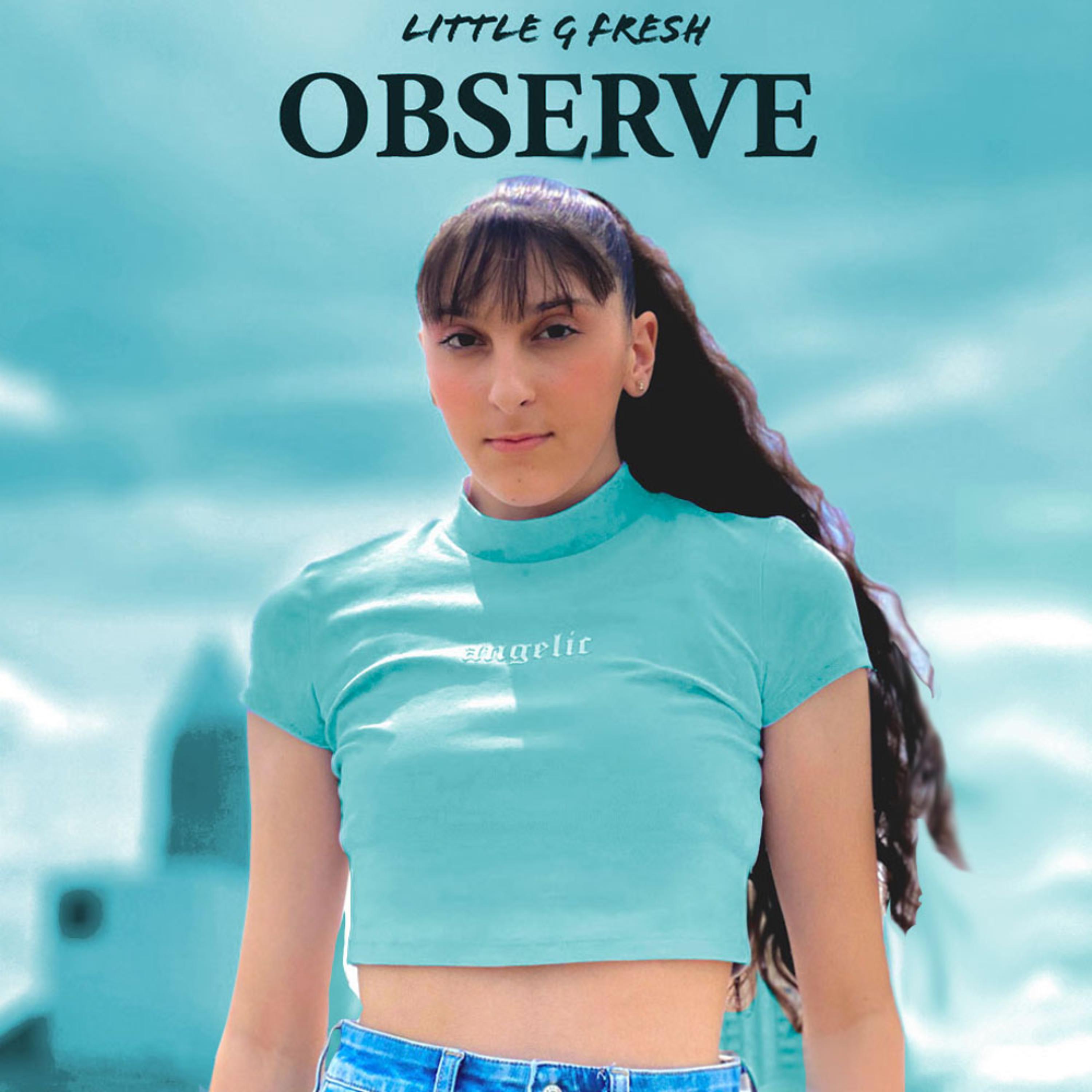 Observe artwork