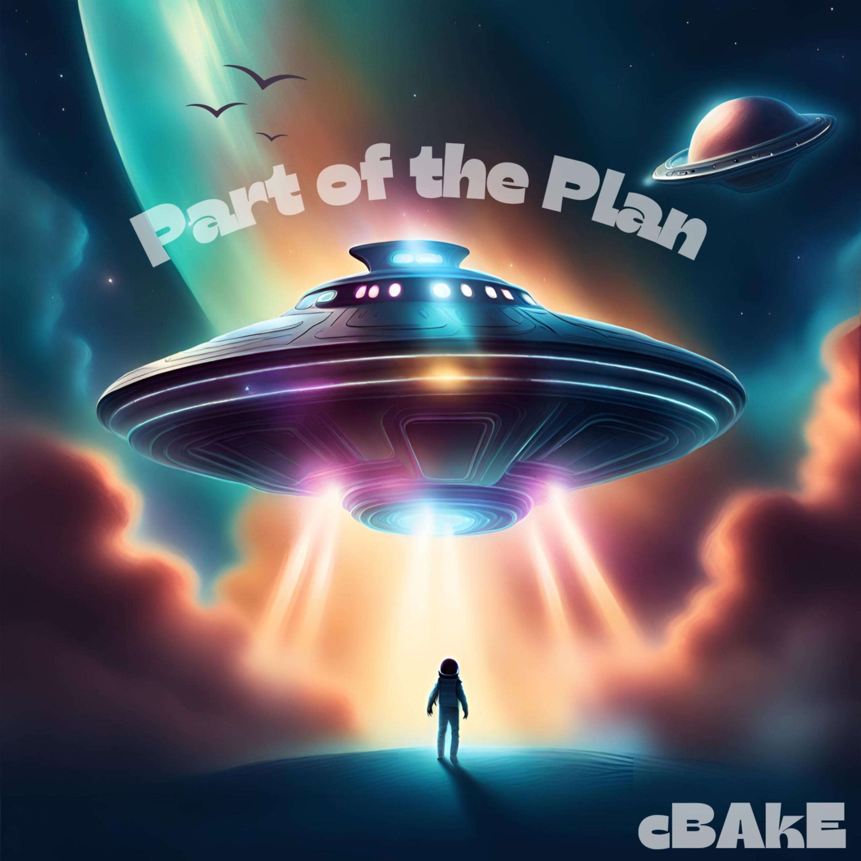 Part of the Plan  artwork