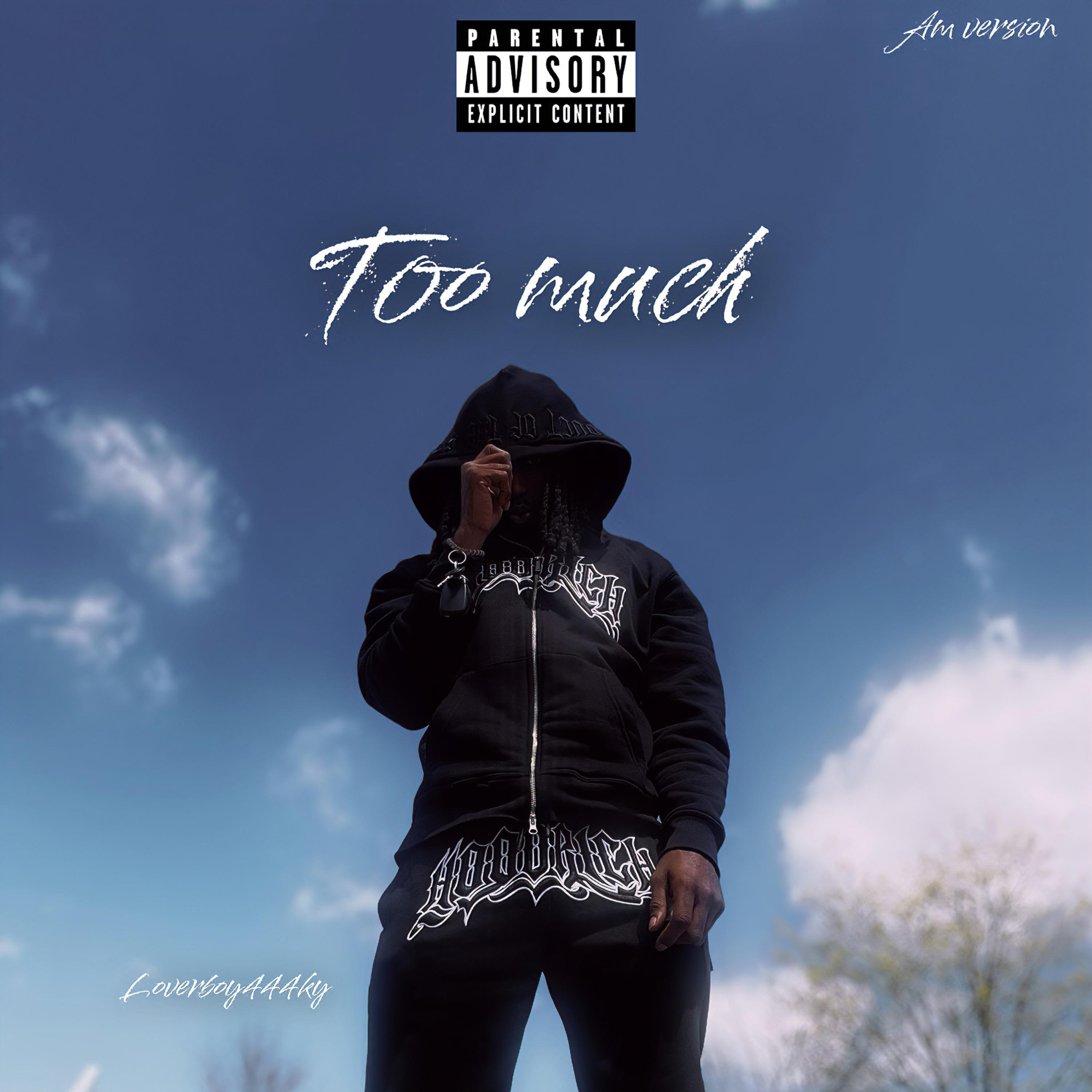 Too Much (am Version) artwork