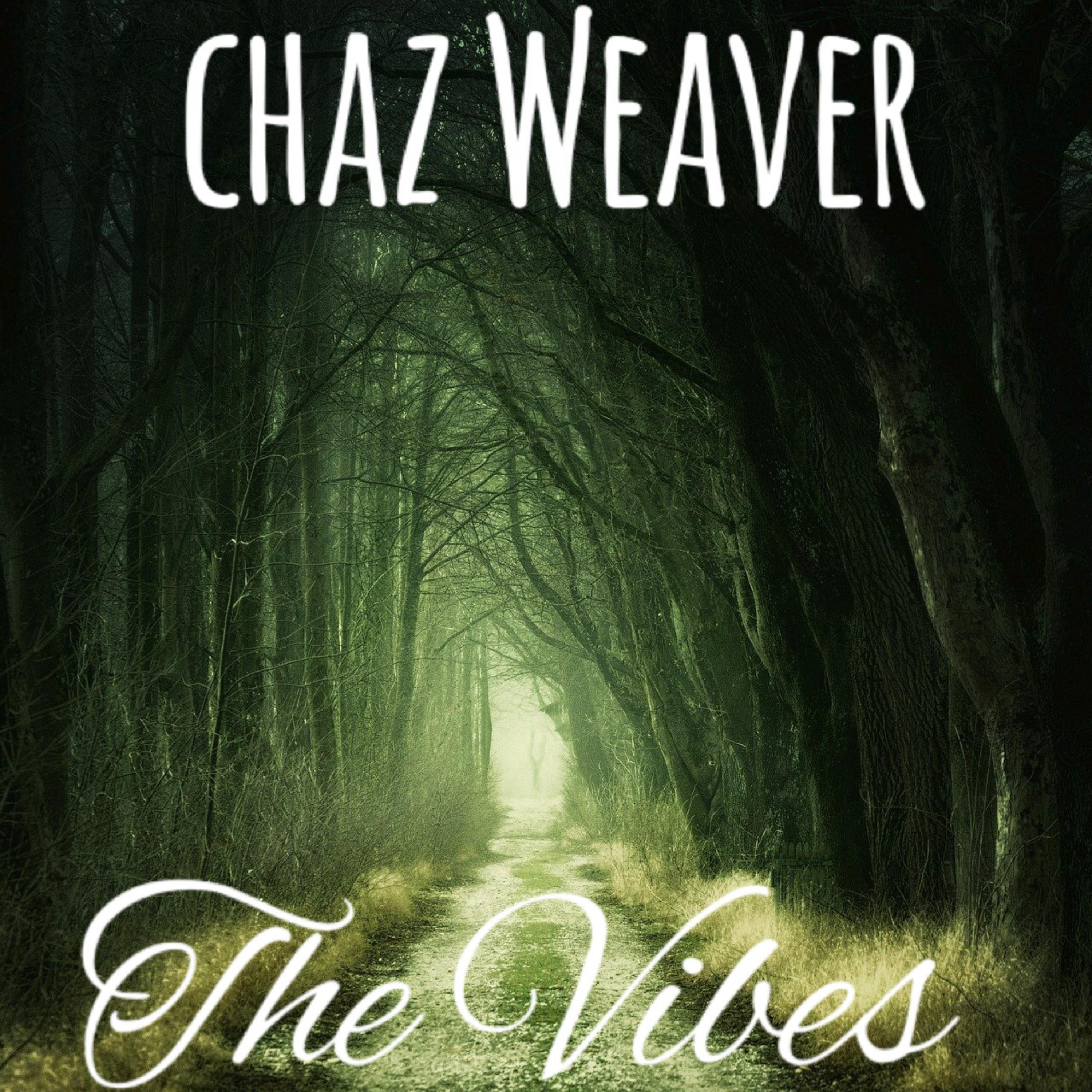 The Vibes artwork