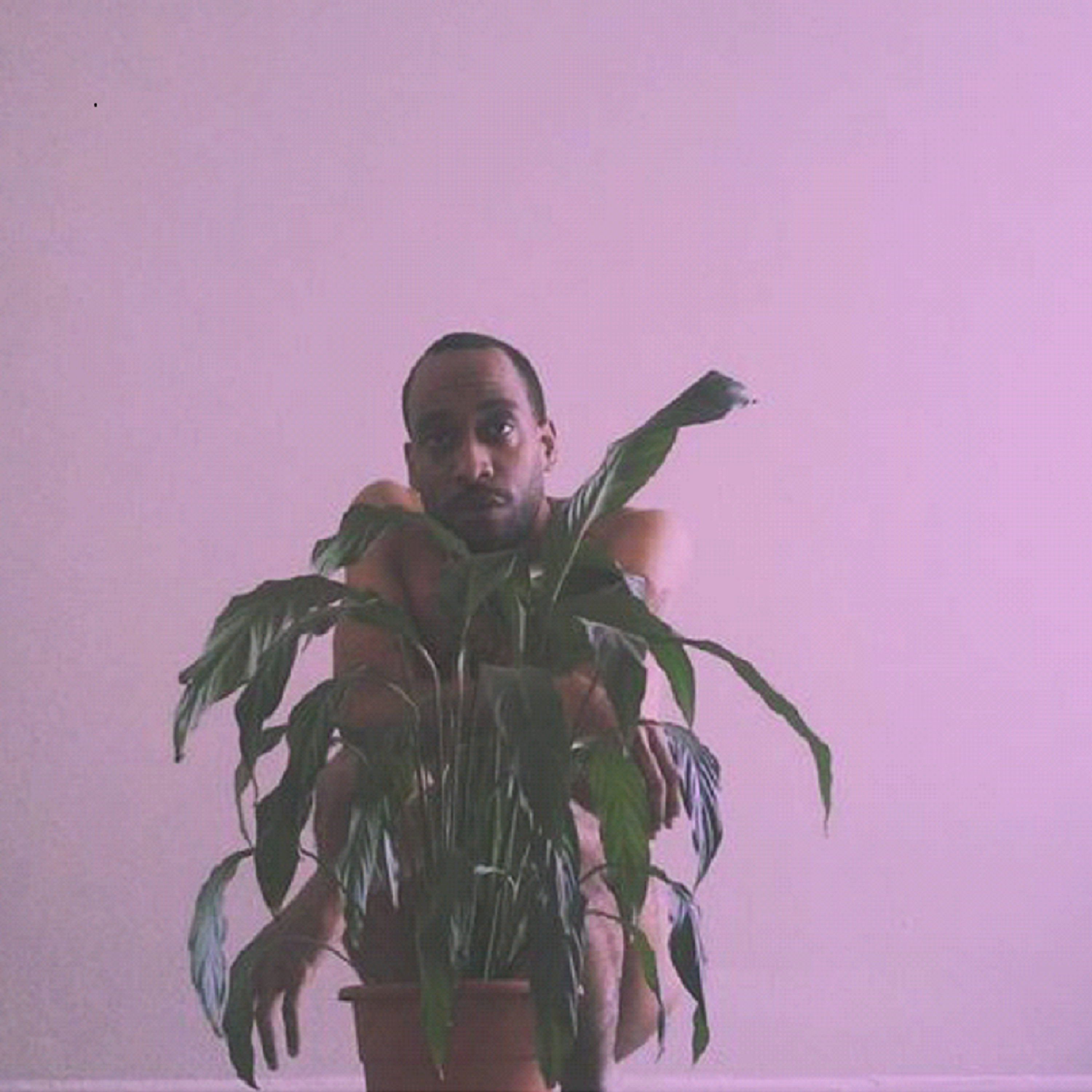 The Sex Tape artwork