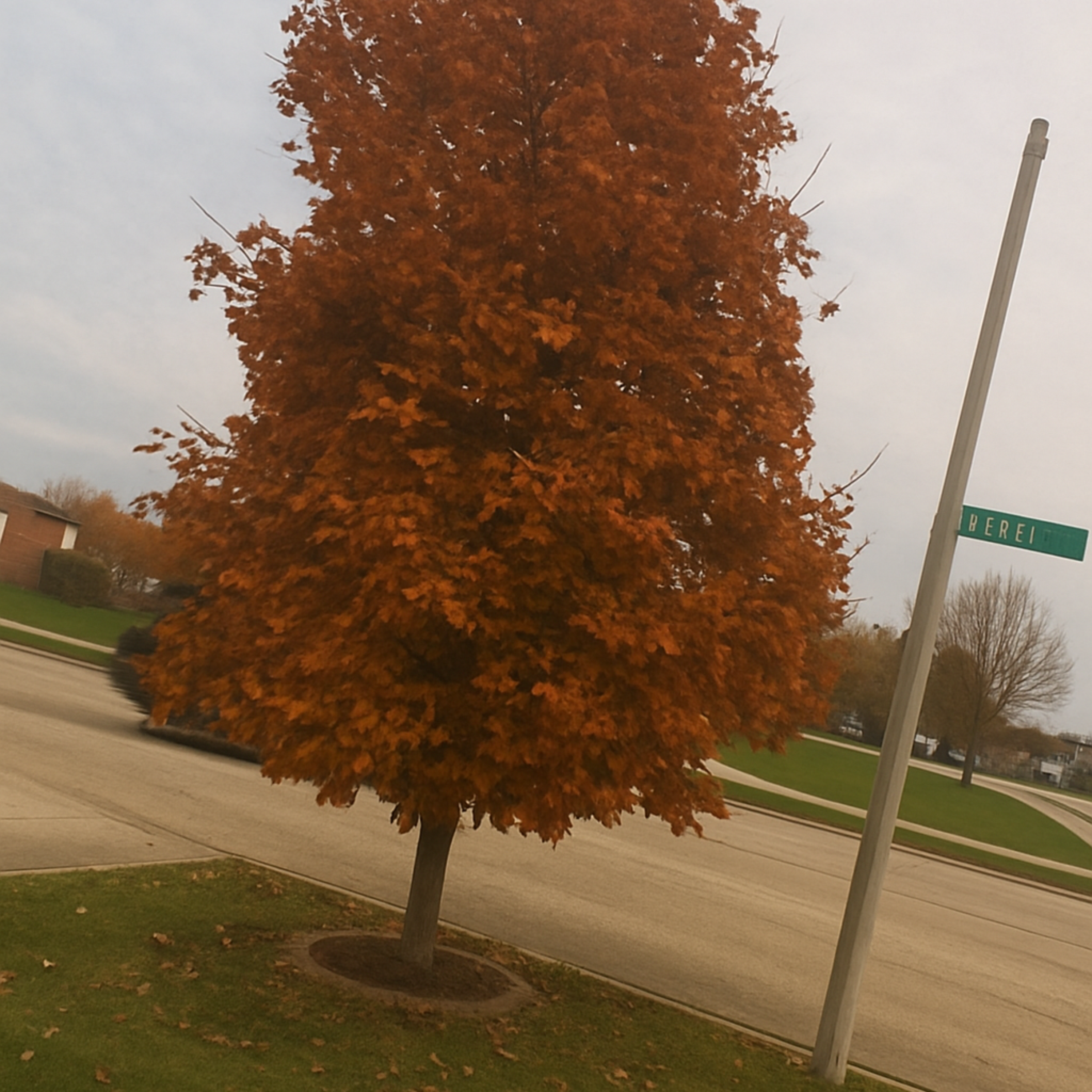 Autumn In The Air artwork