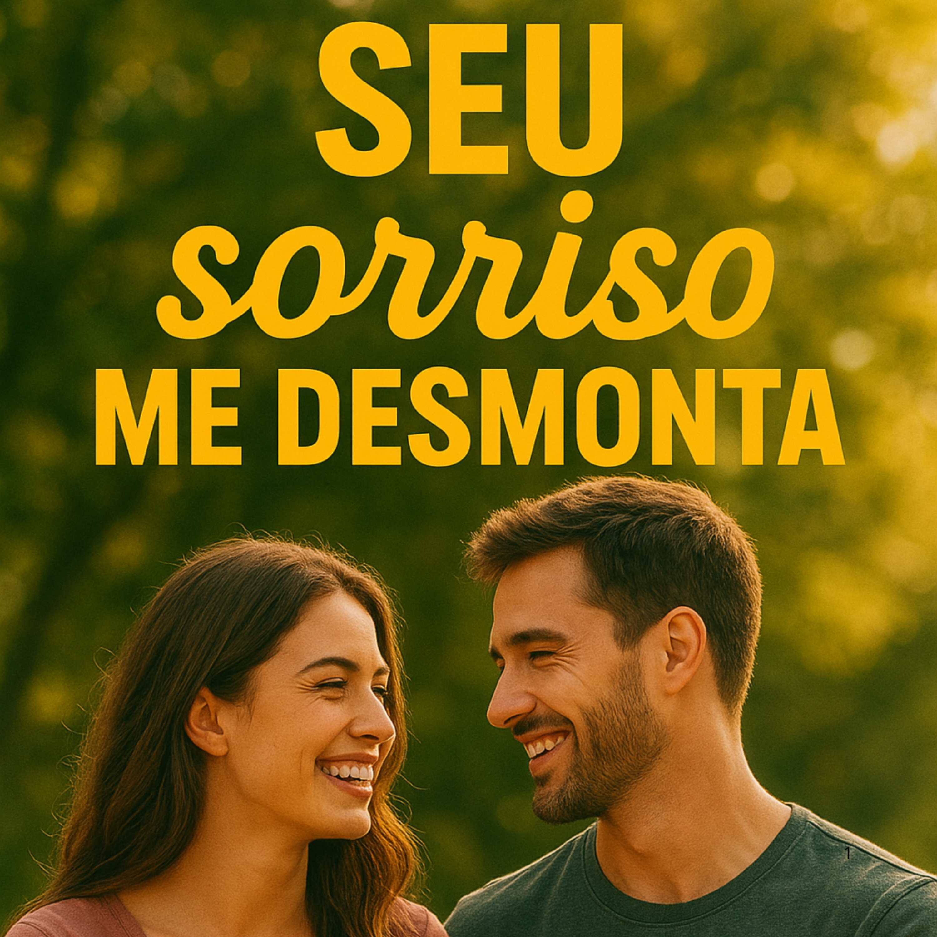 Seu sorriso me desmonta artwork