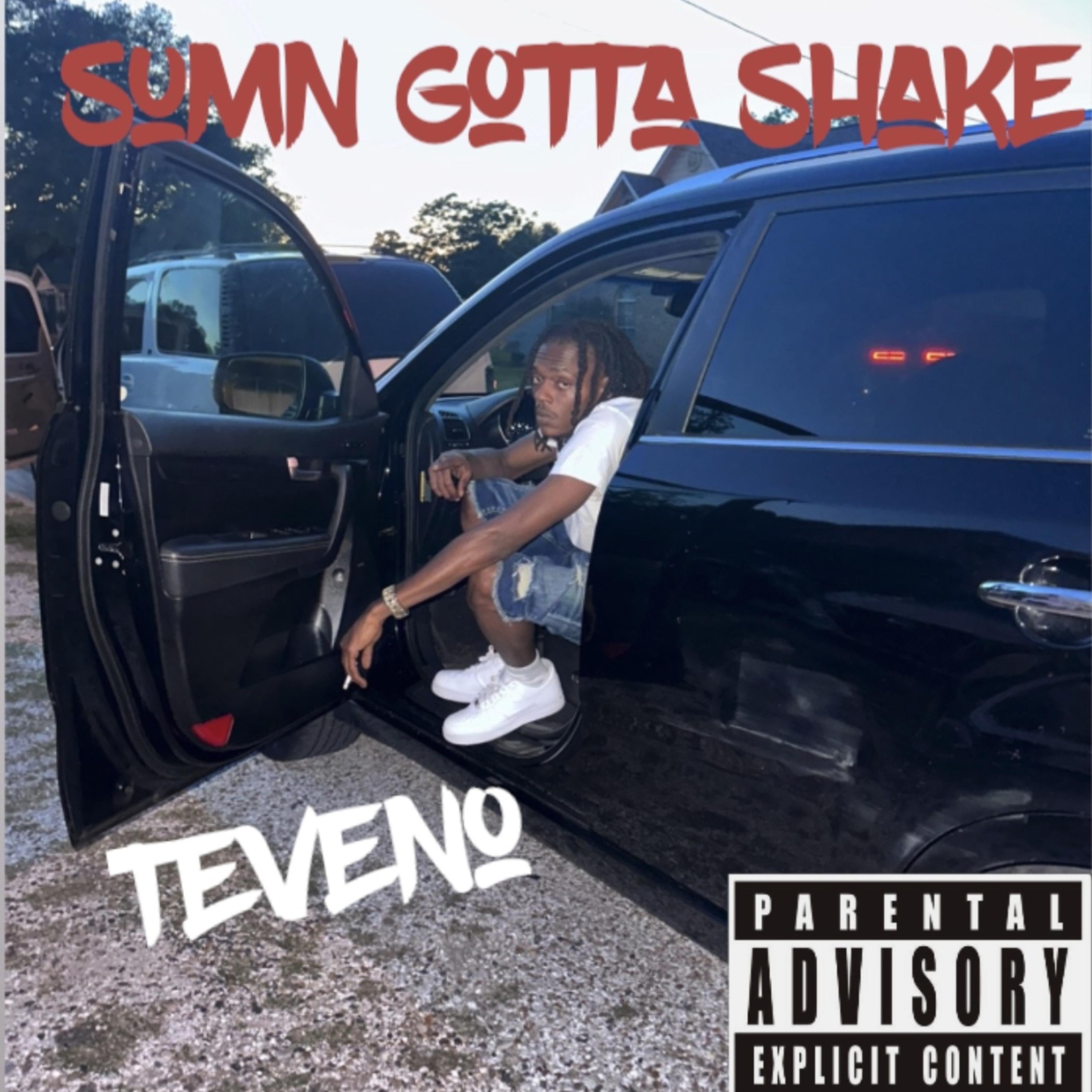 Sumn Gtta Shake by Teveno cover art
