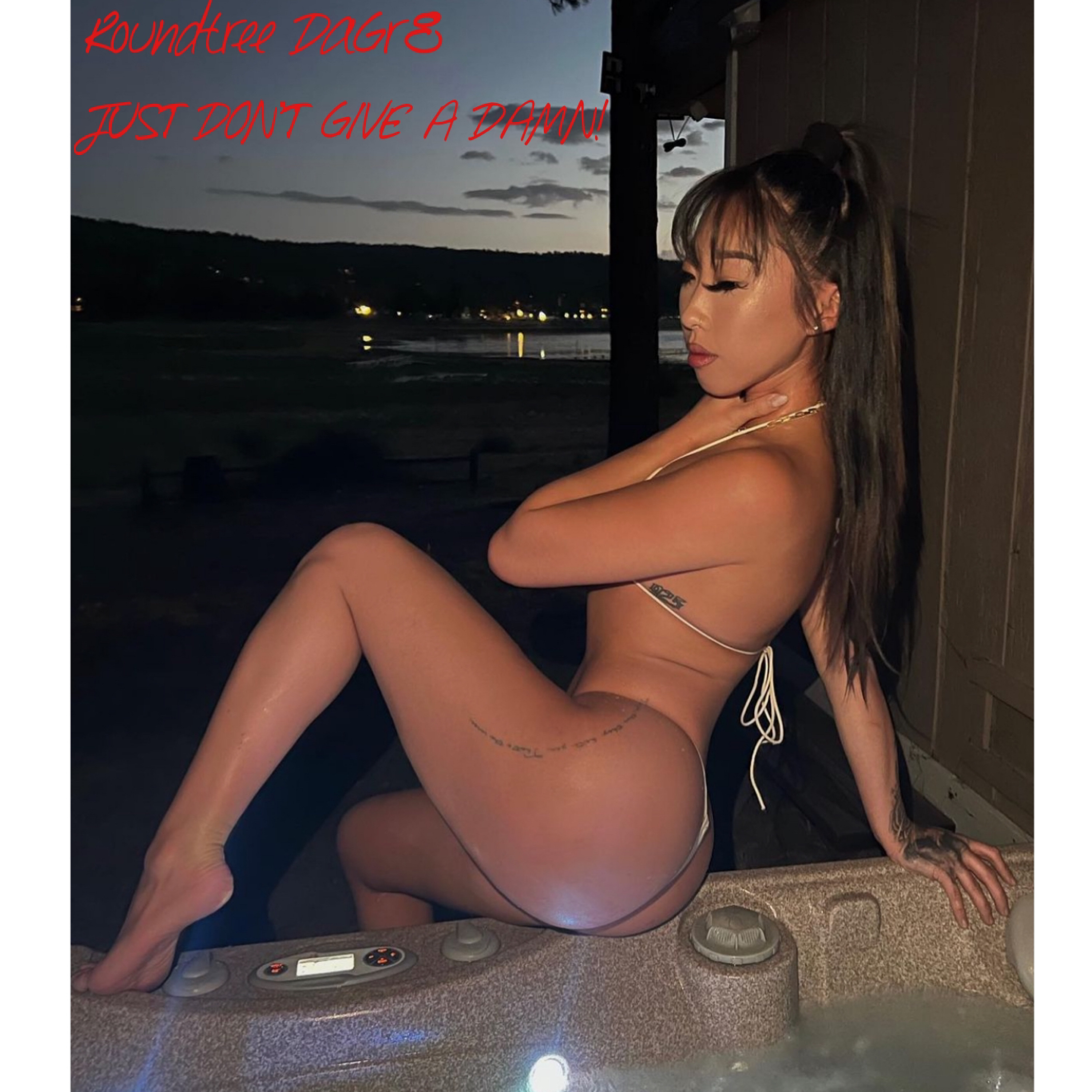 Just Don't Give A Damn by Roundtree DaGr8 cover art