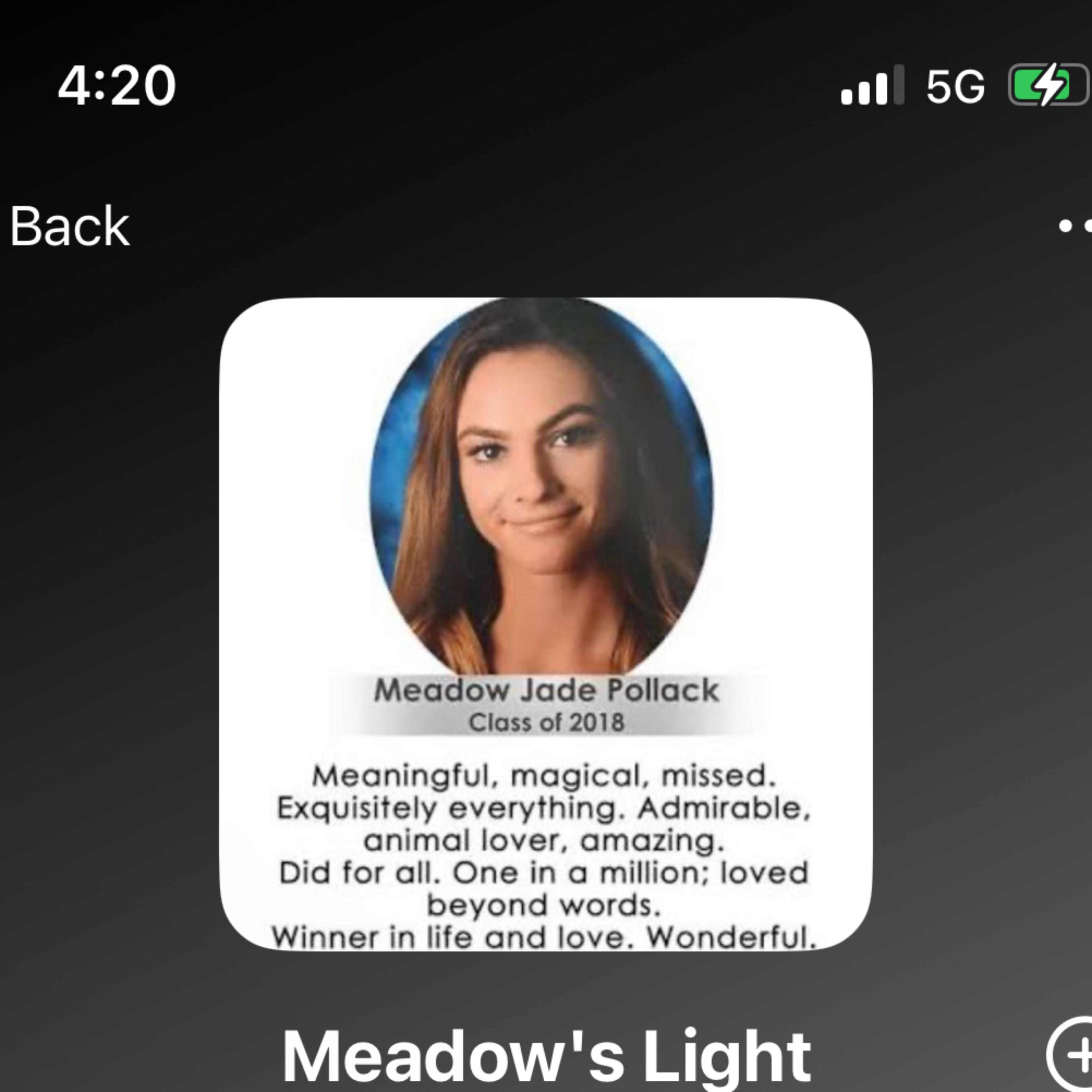Meadow’s Light artwork
