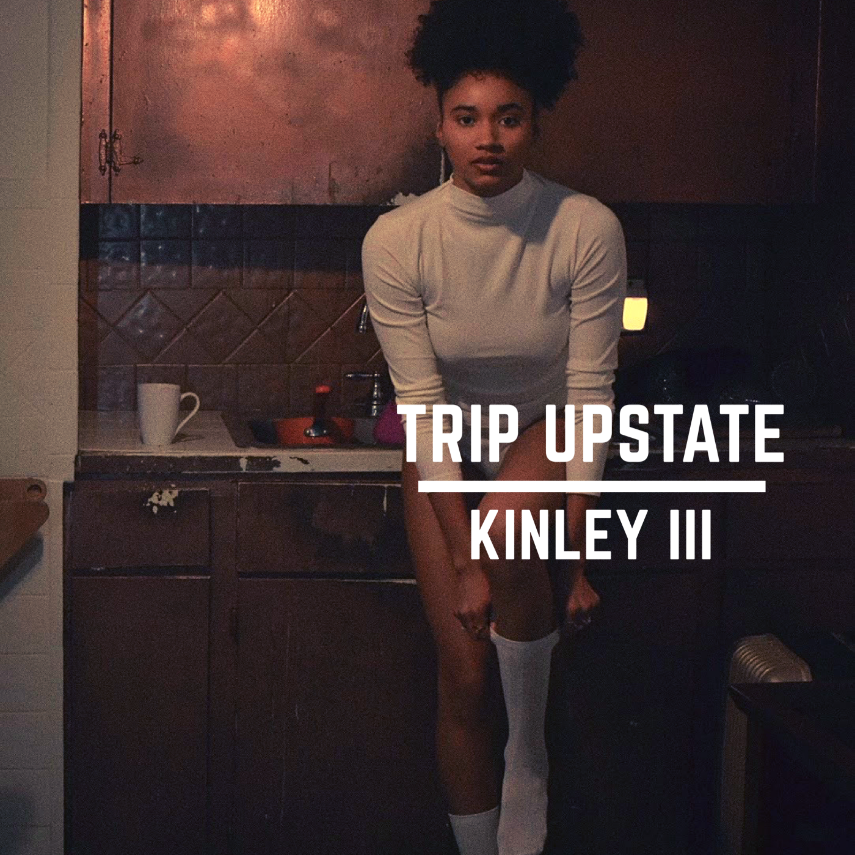 Trip Upstate artwork