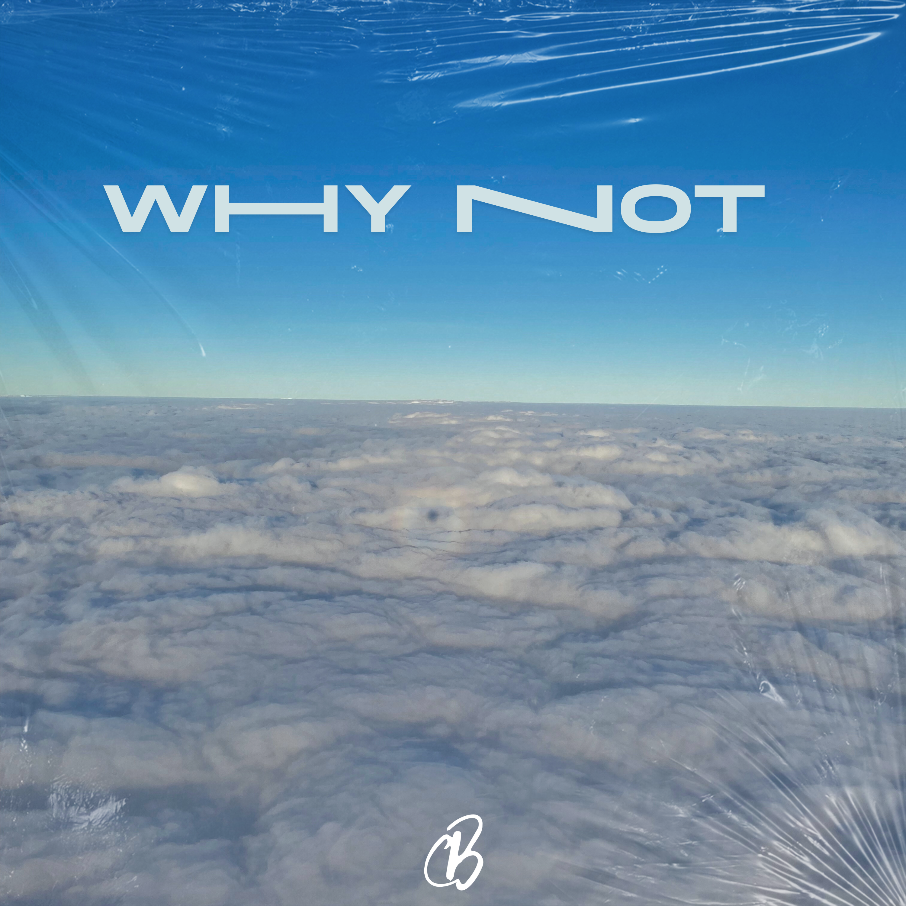 Why Not artwork