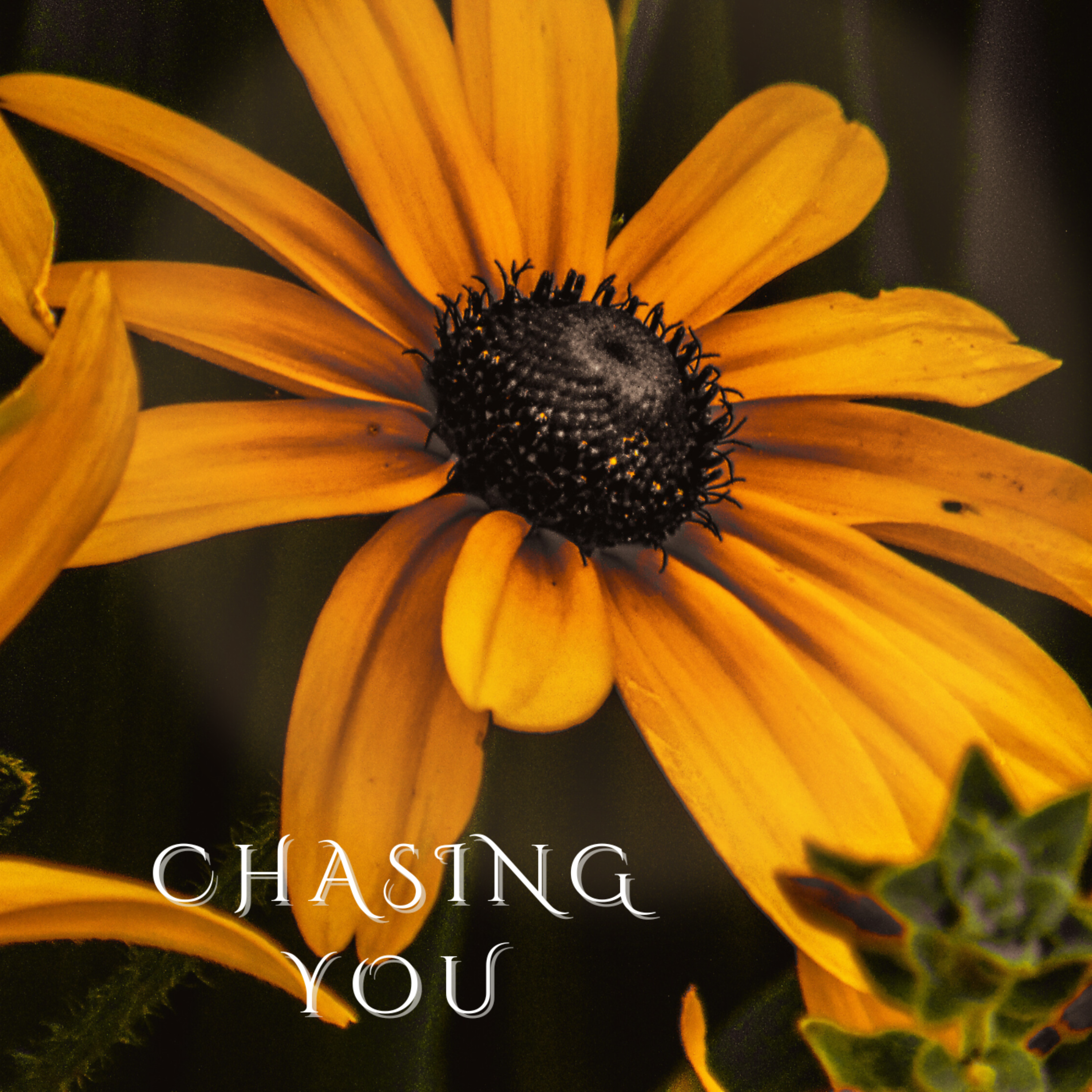 Chasing You artwork