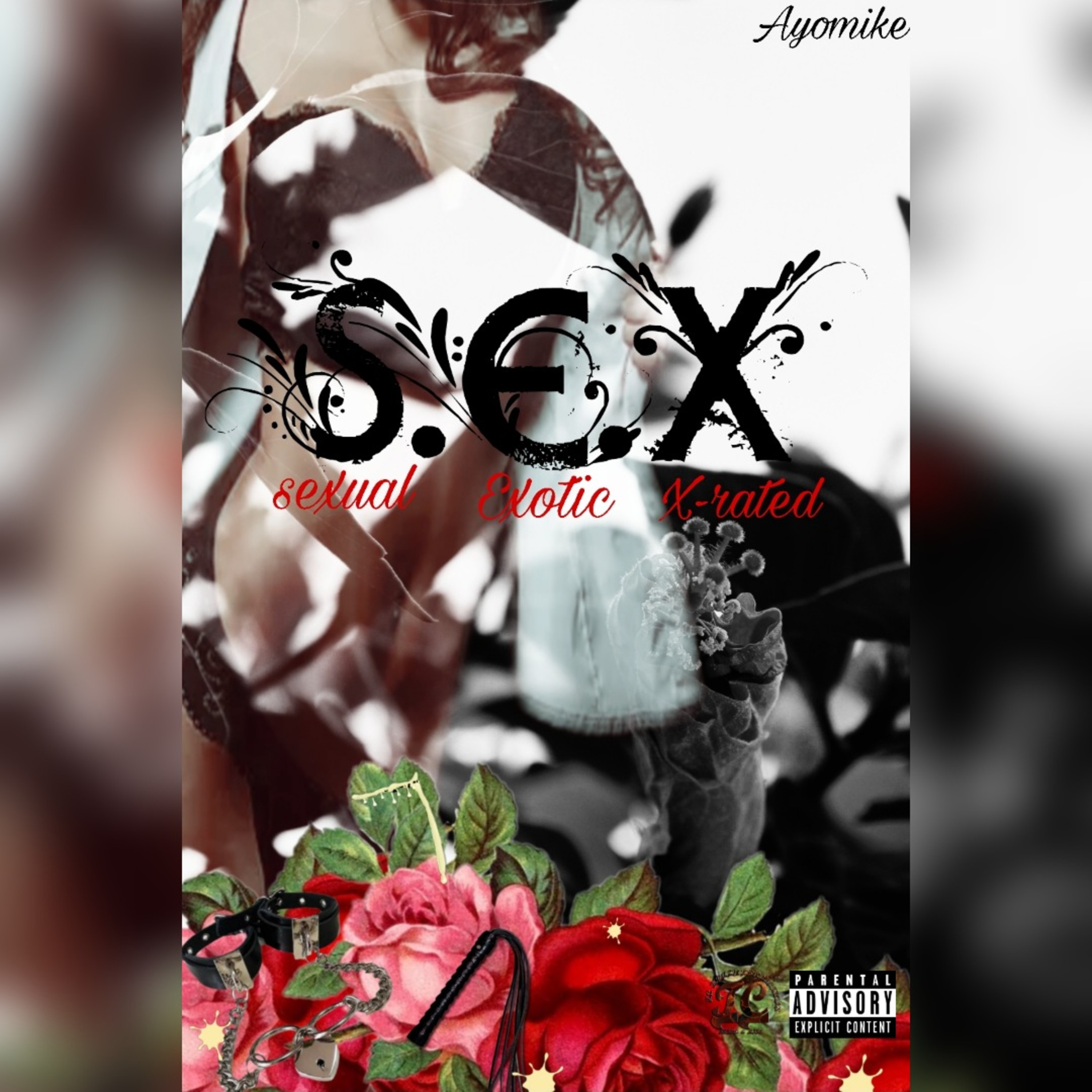 S.E.X artwork