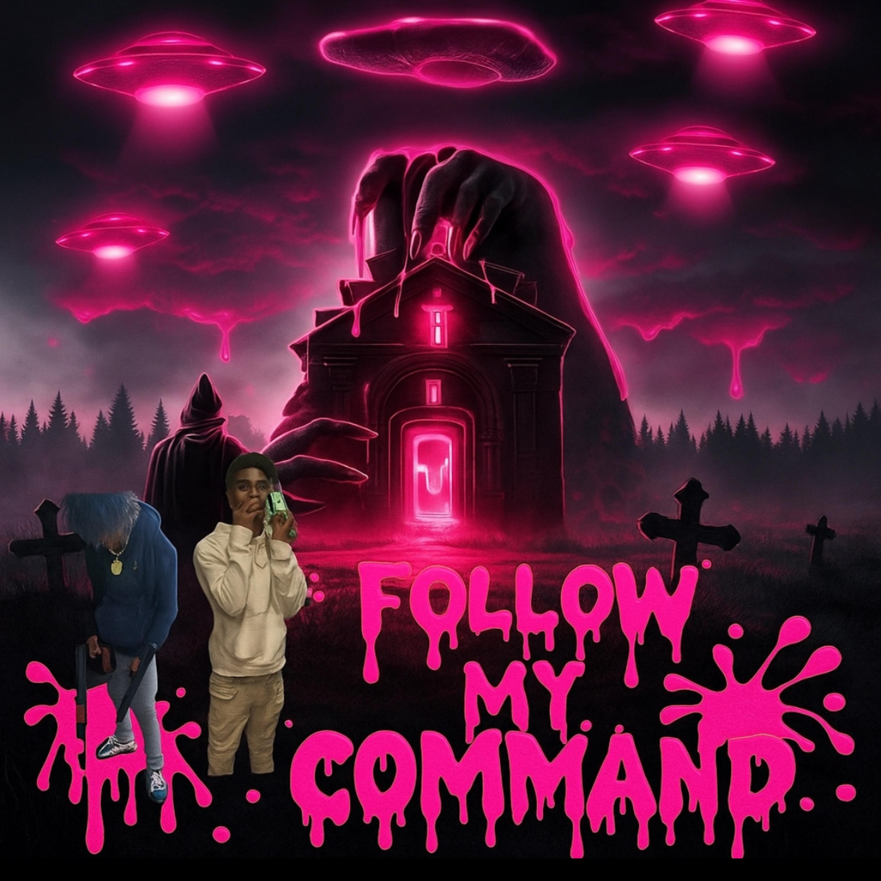Follow my command artwork