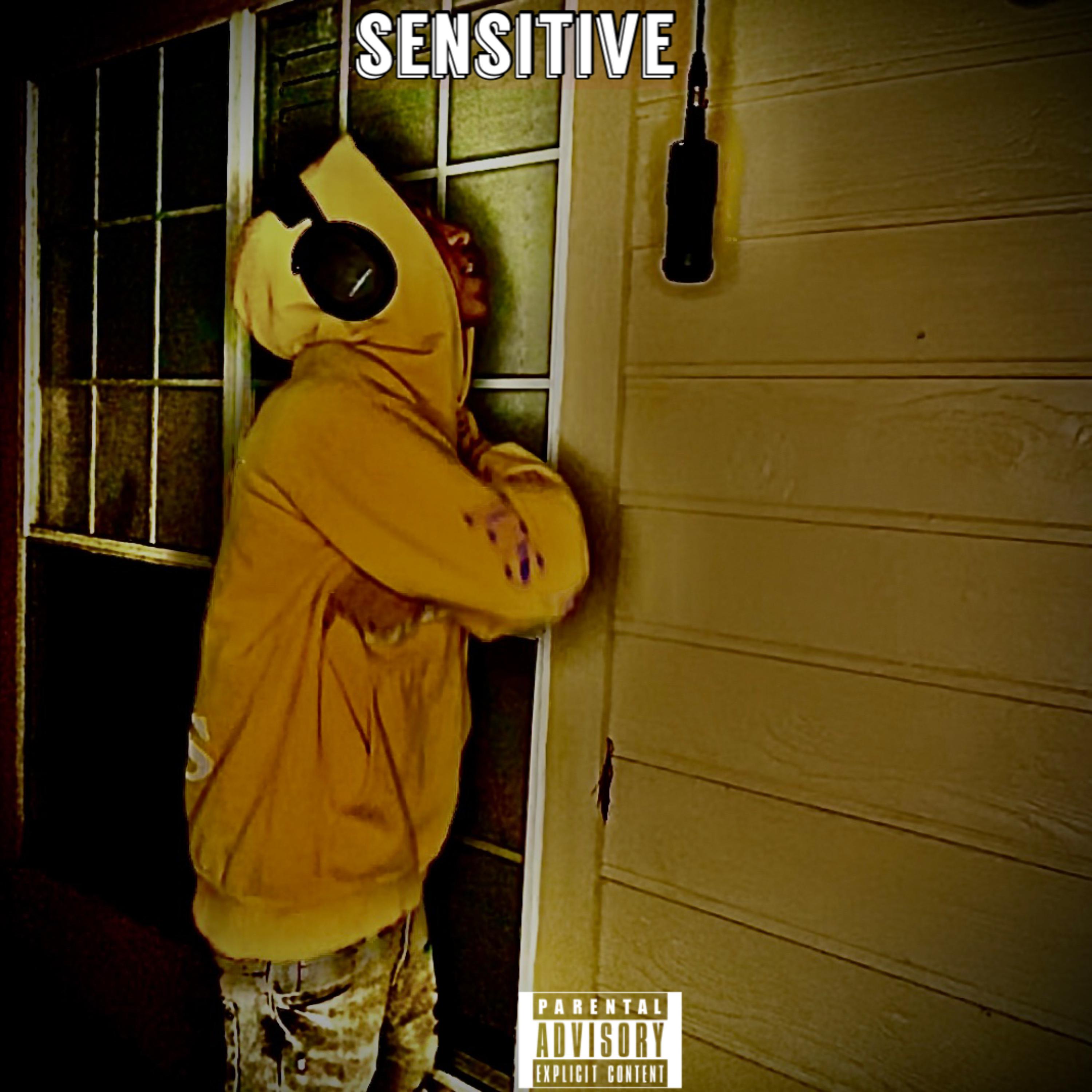 Sensitive artwork