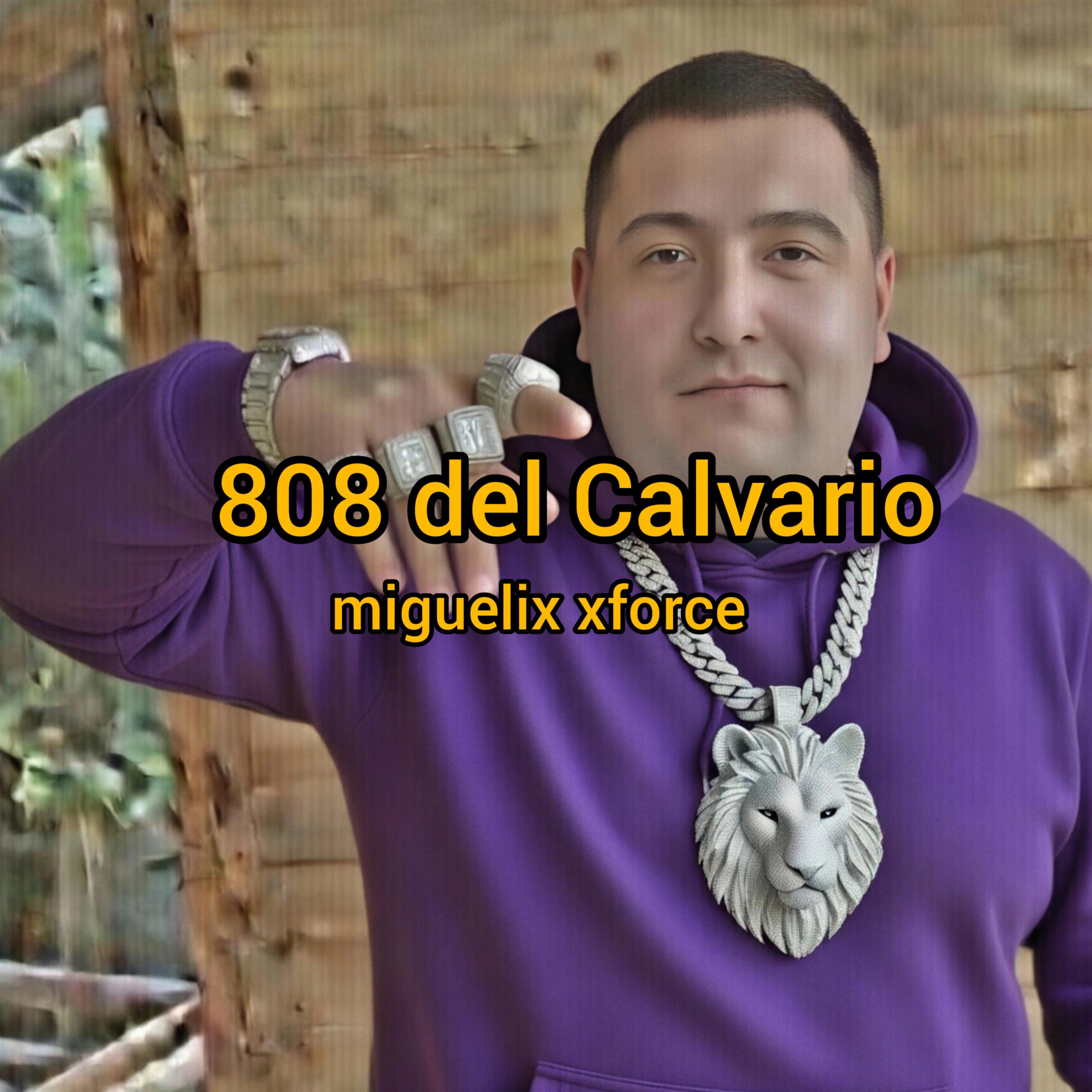 4 808 del Calvario artwork
