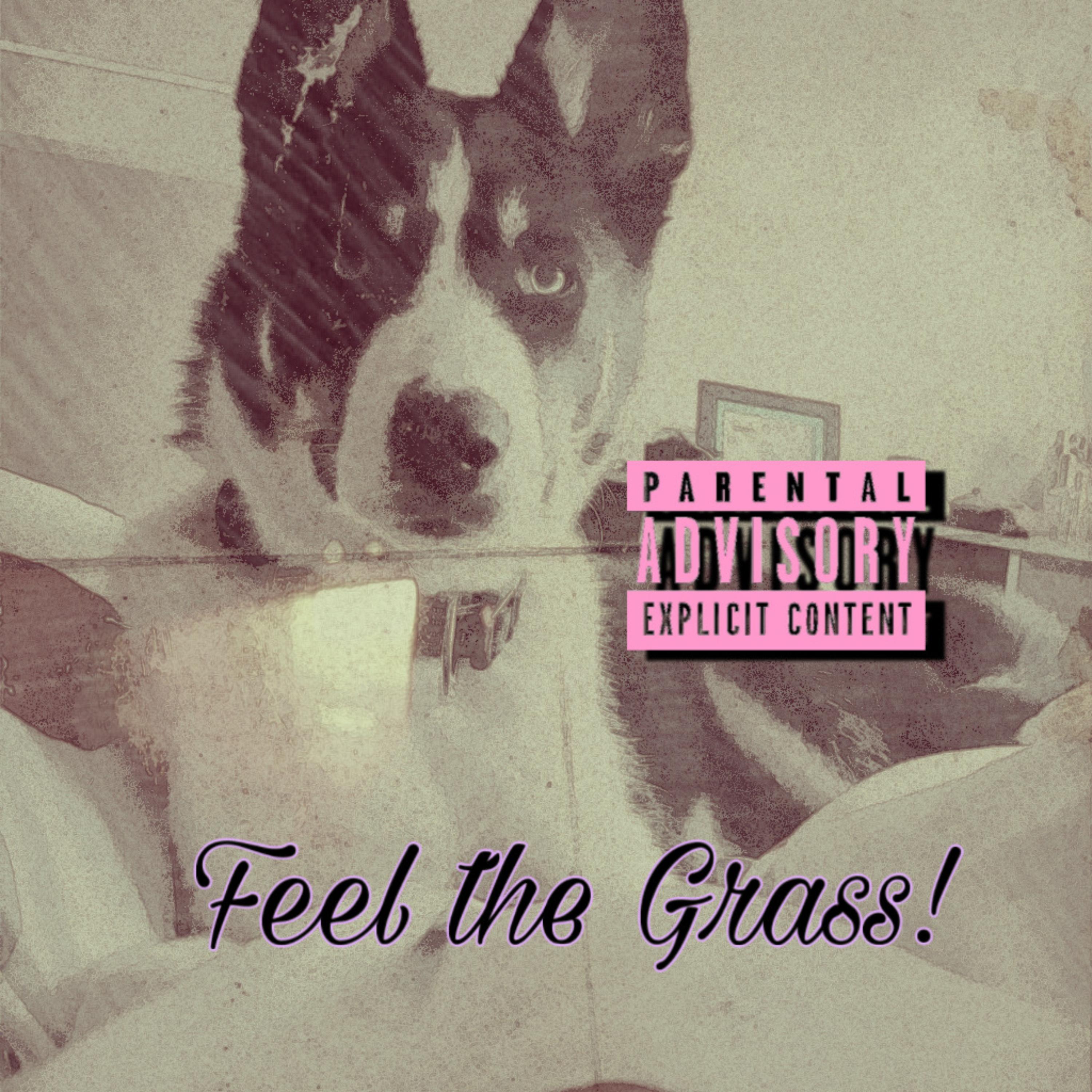 Feel The Grass artwork