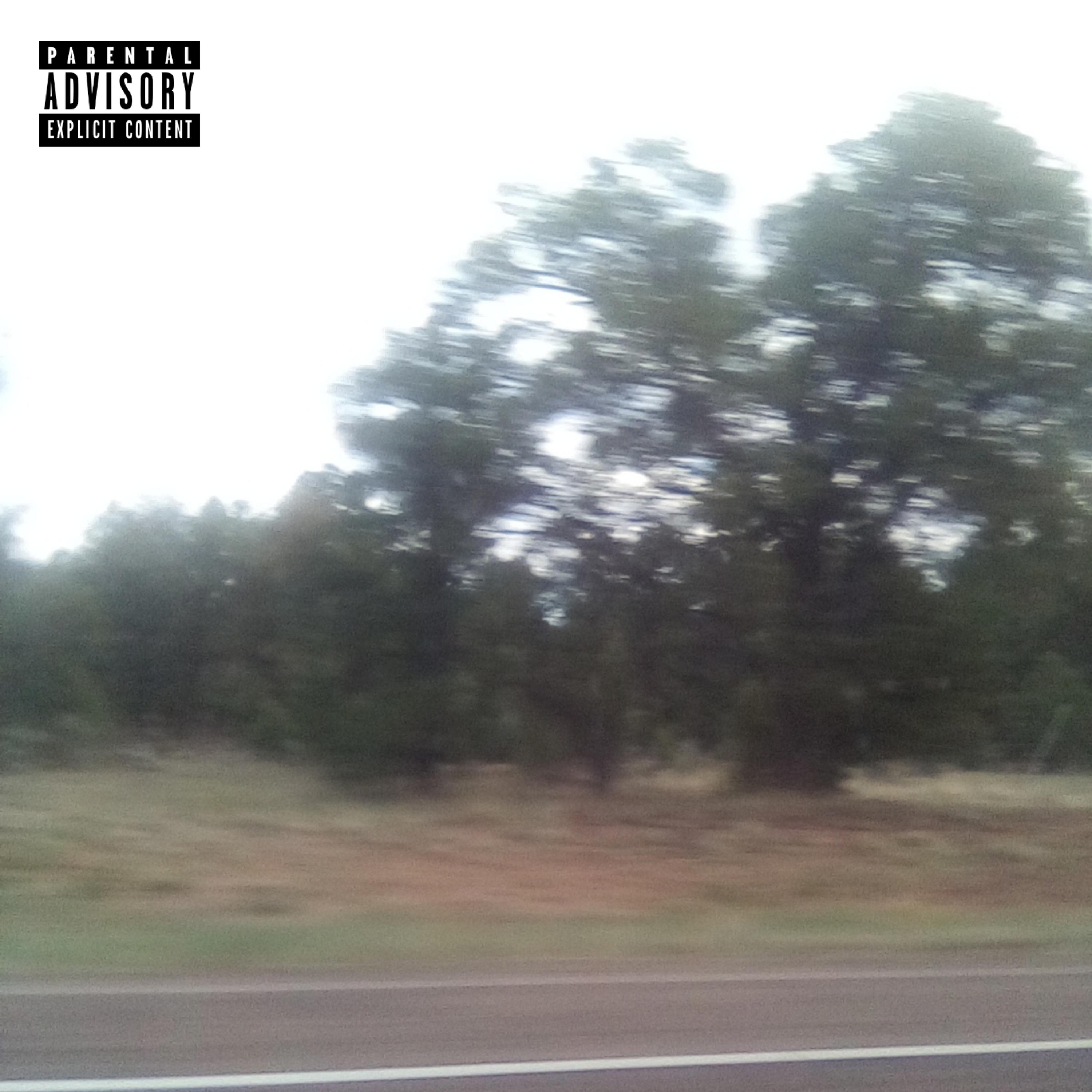Sorry artwork