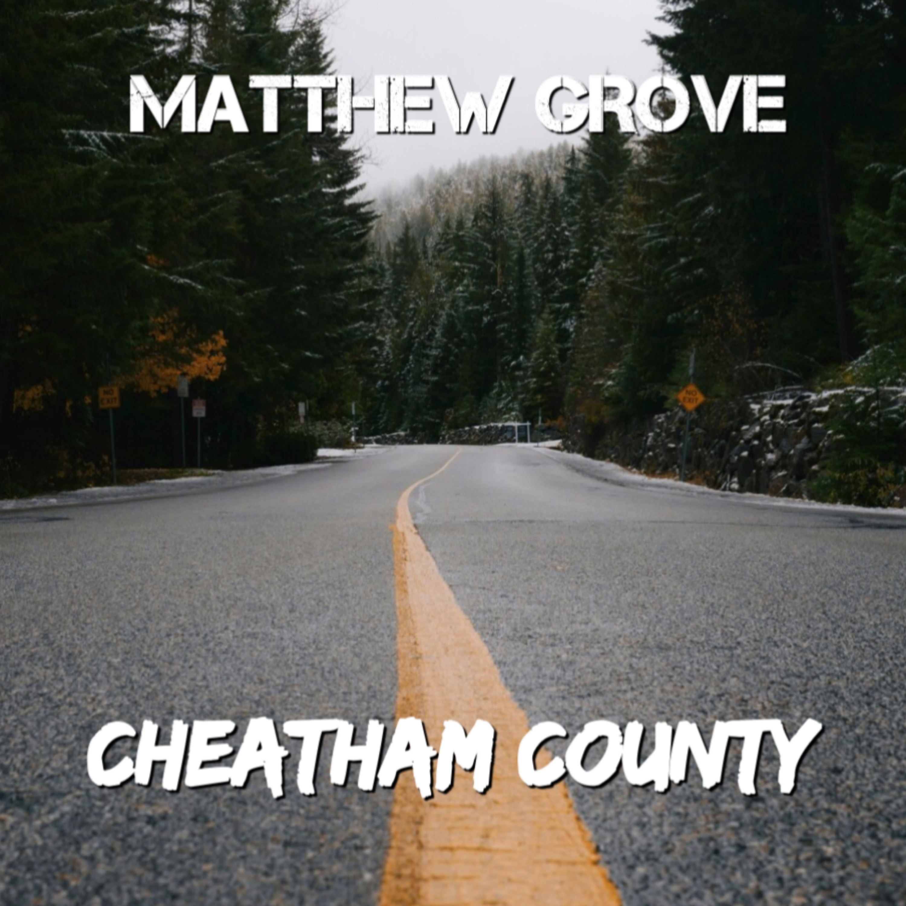 CHEATHAM COUNTY by Matthew Grove cover art