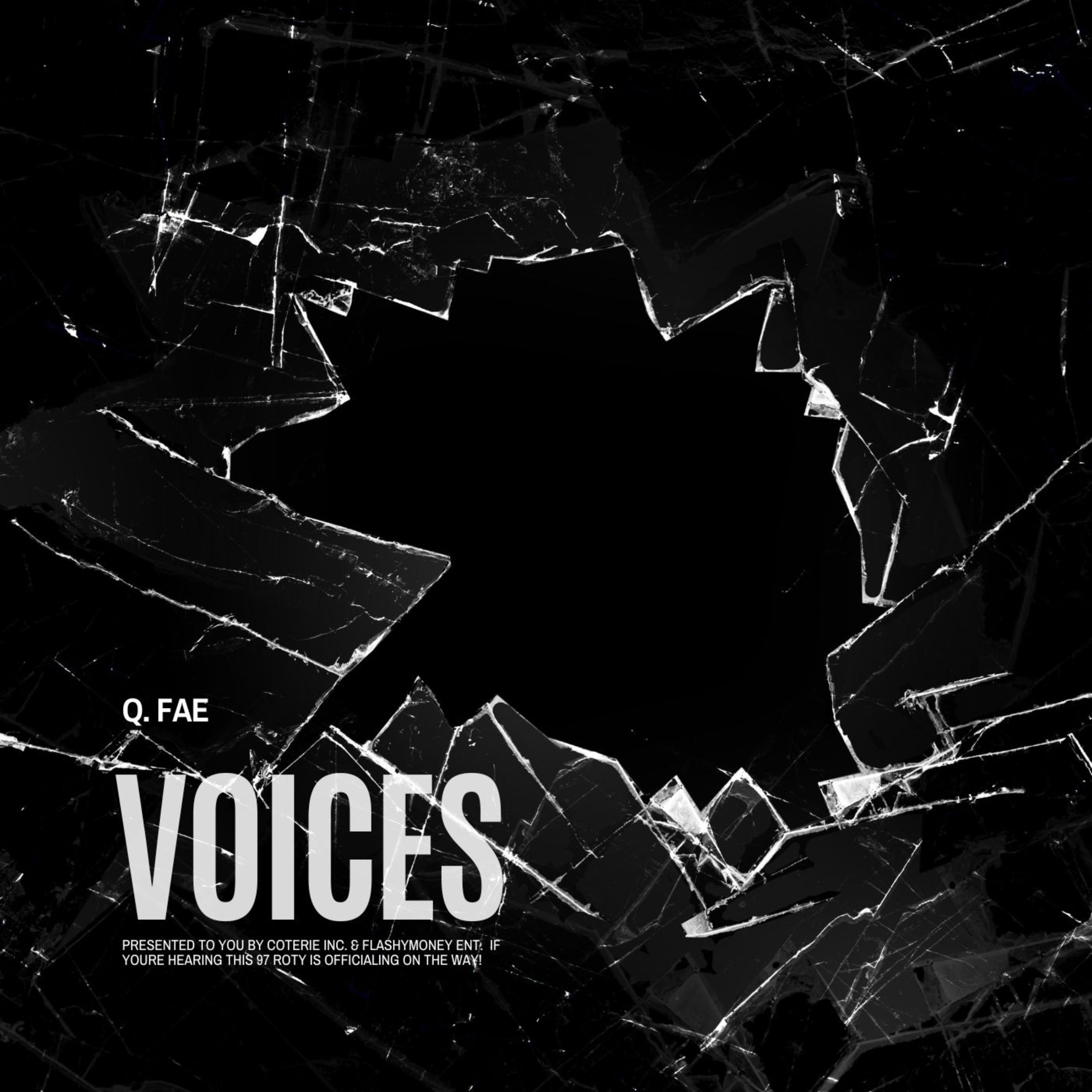 VOICES artwork