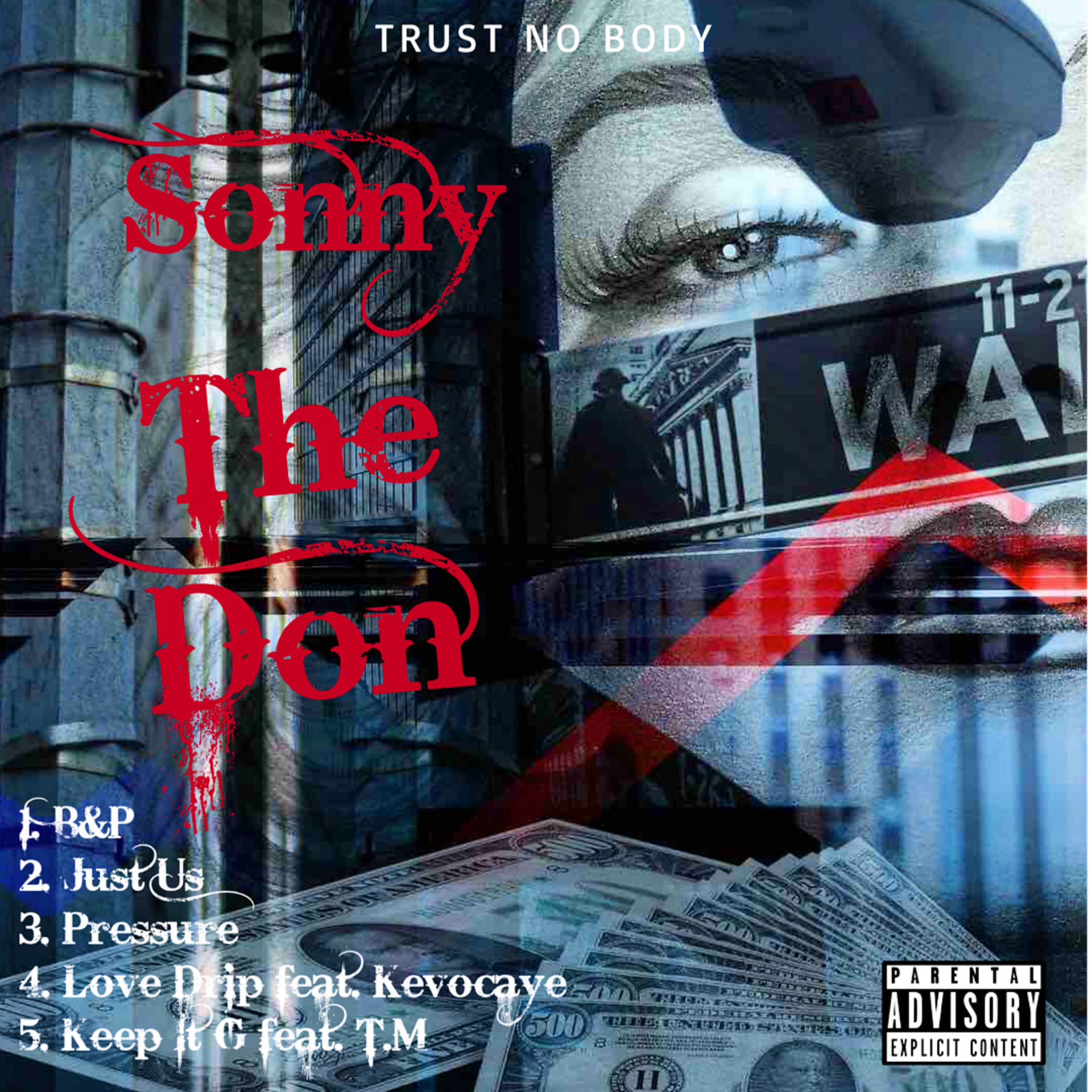 Sonny The Don artwork