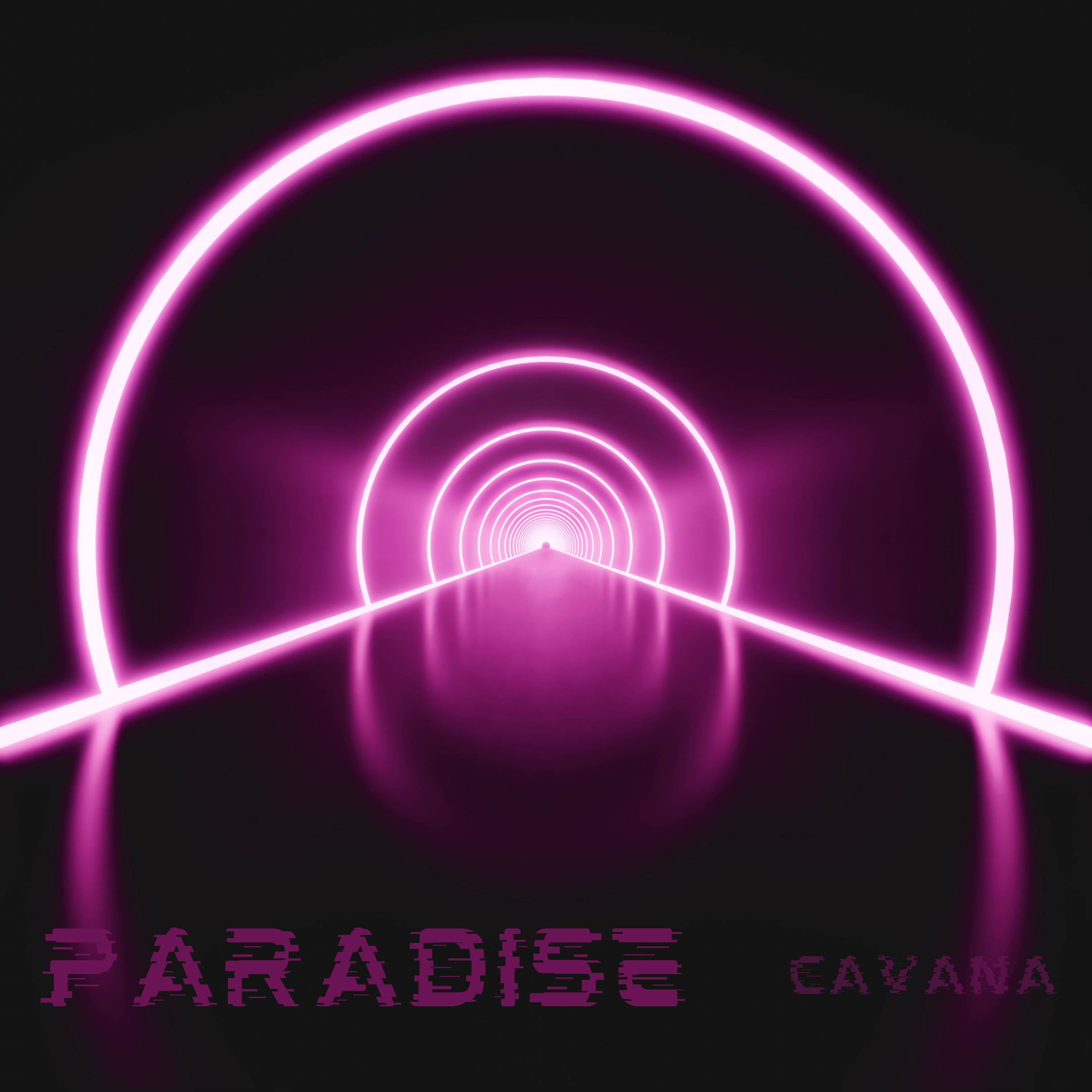 Paradise artwork