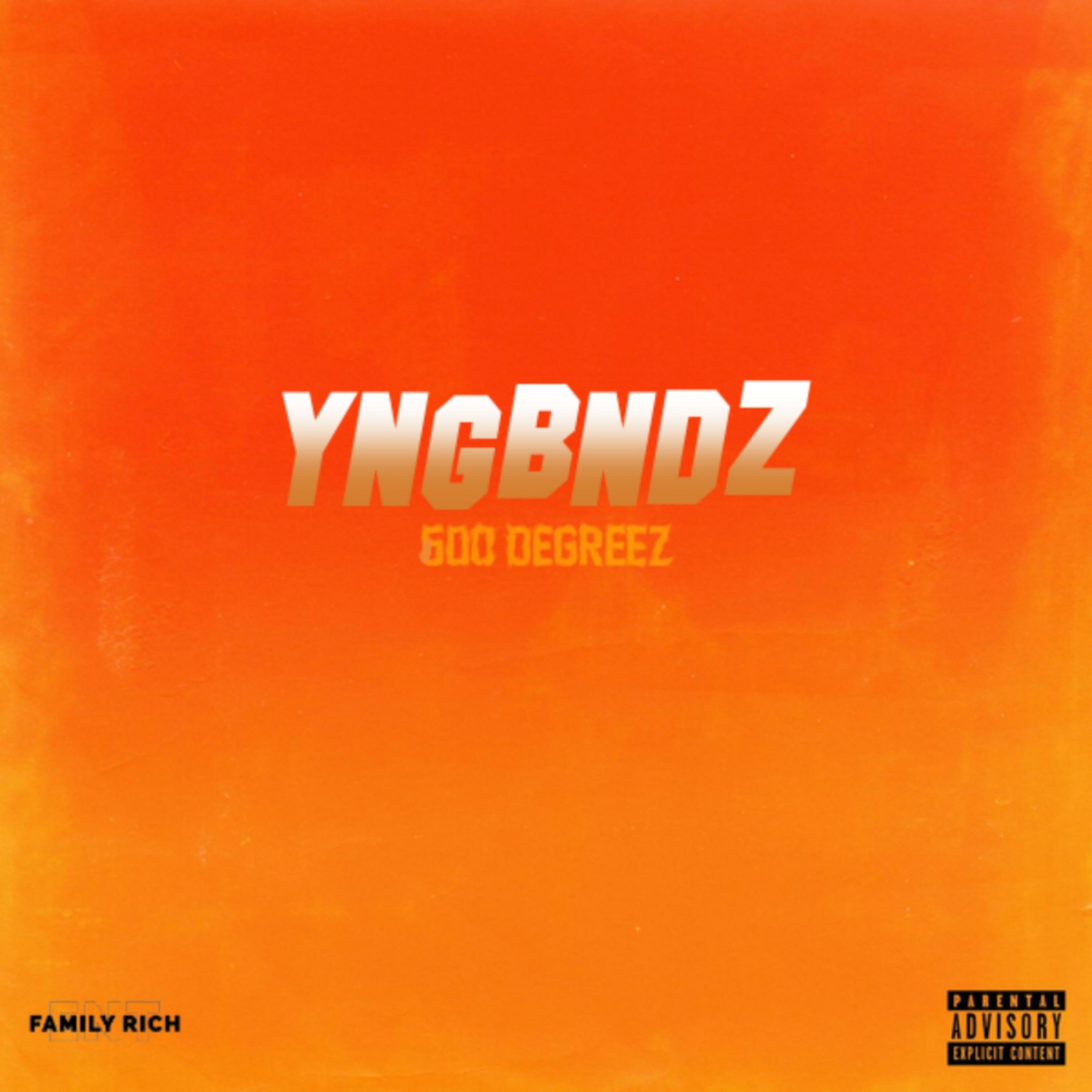 600 Degreez by YNGBNDZ cover art