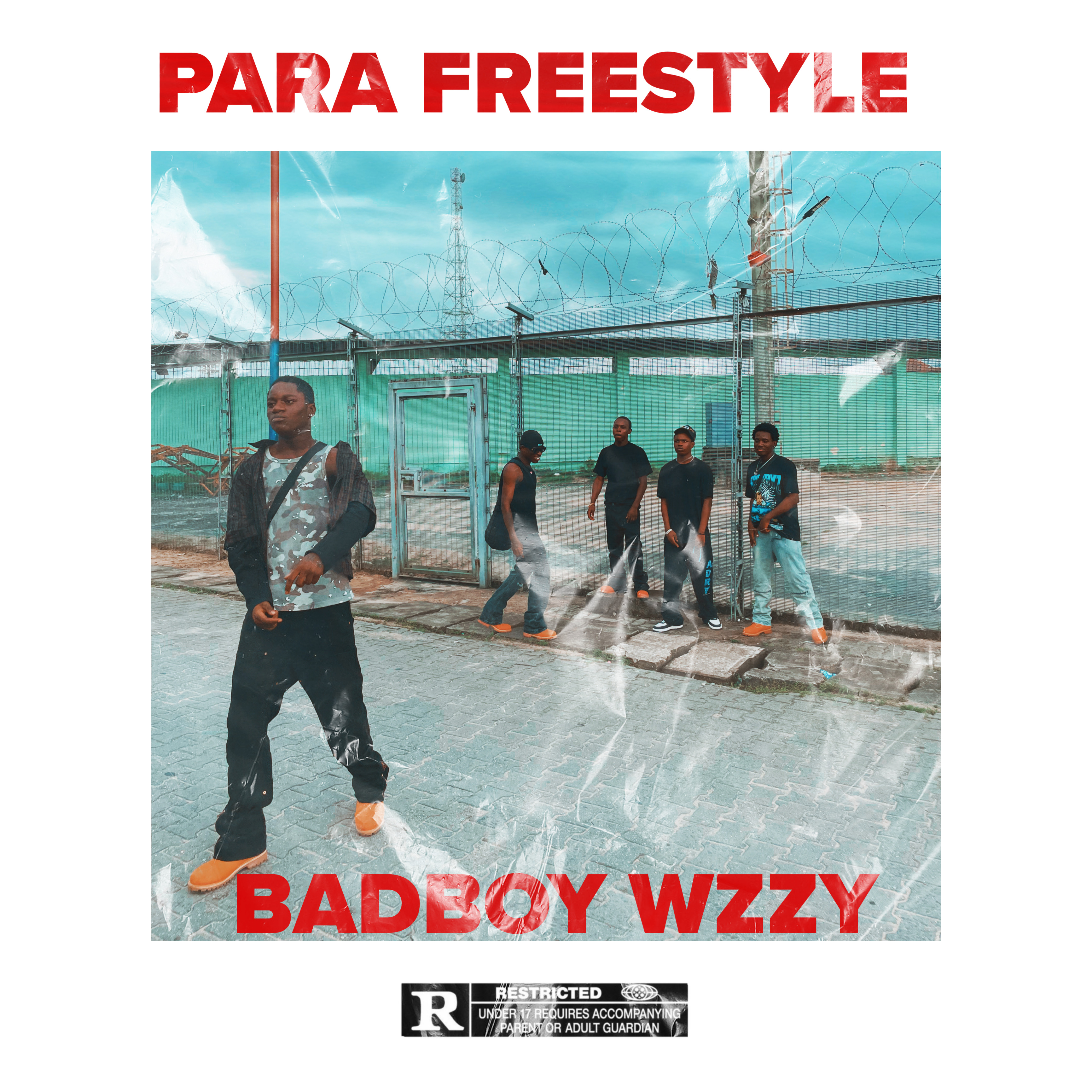 PARA FREESTYLE artwork