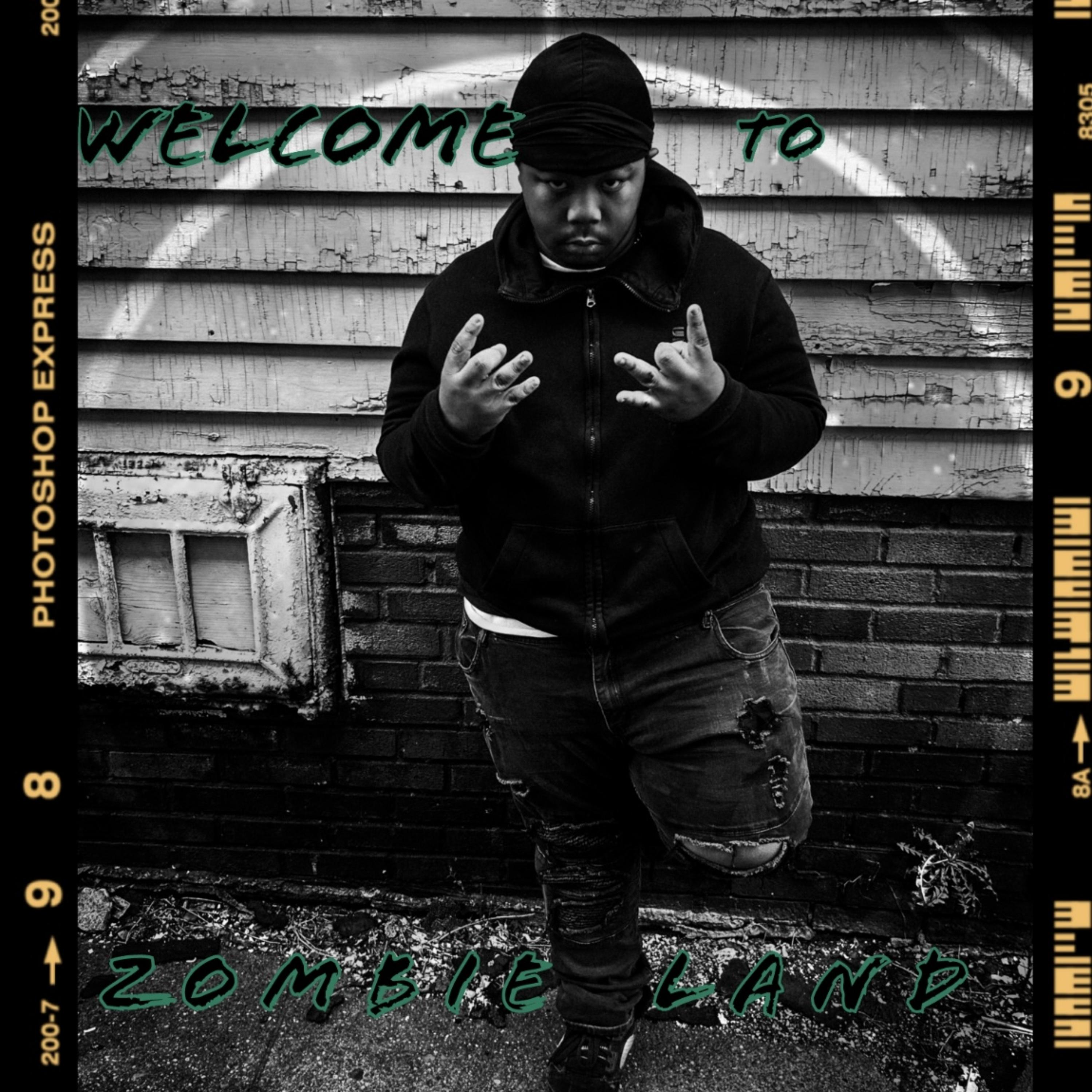 Welcome To ZombieLand artwork