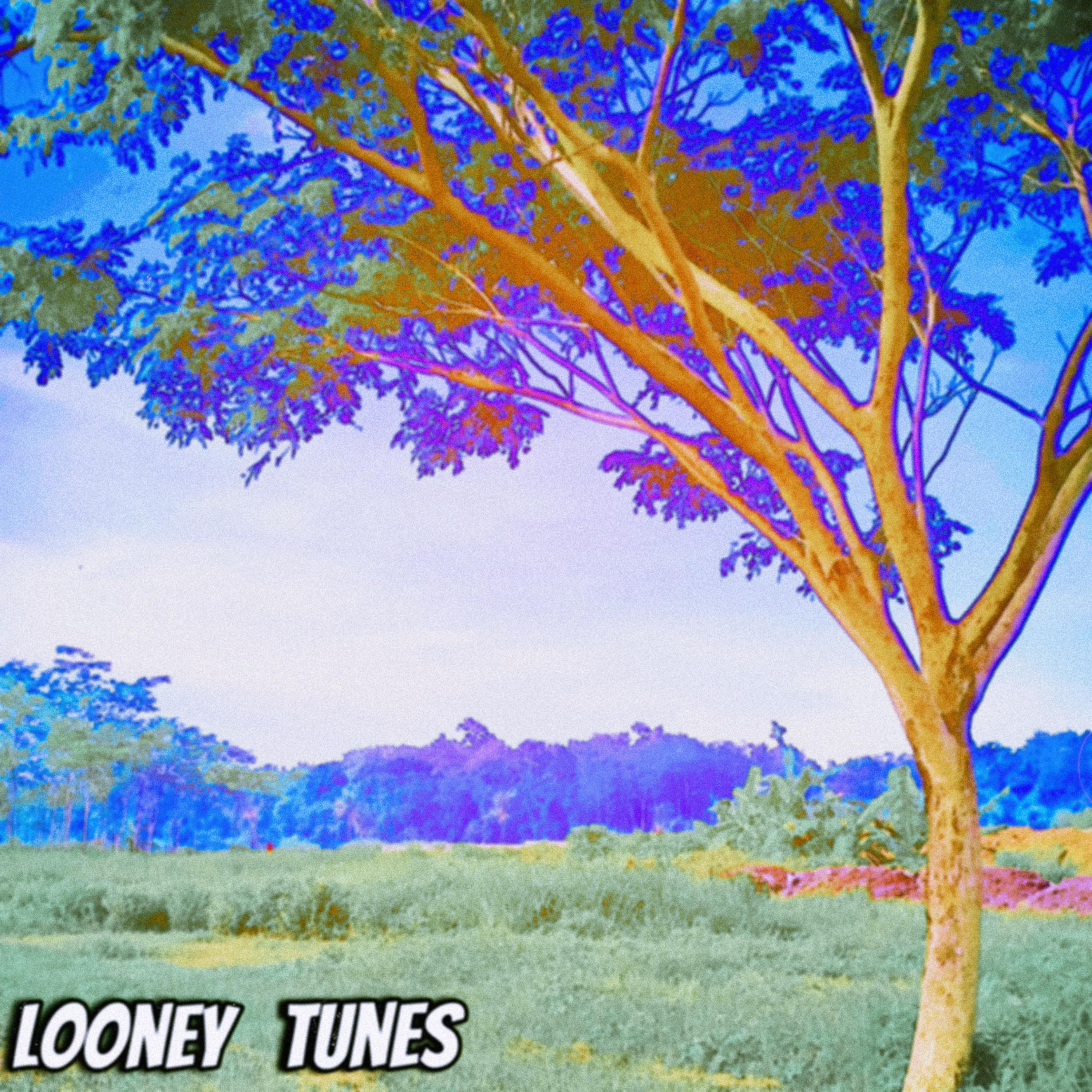LoOnEy TuNeS artwork
