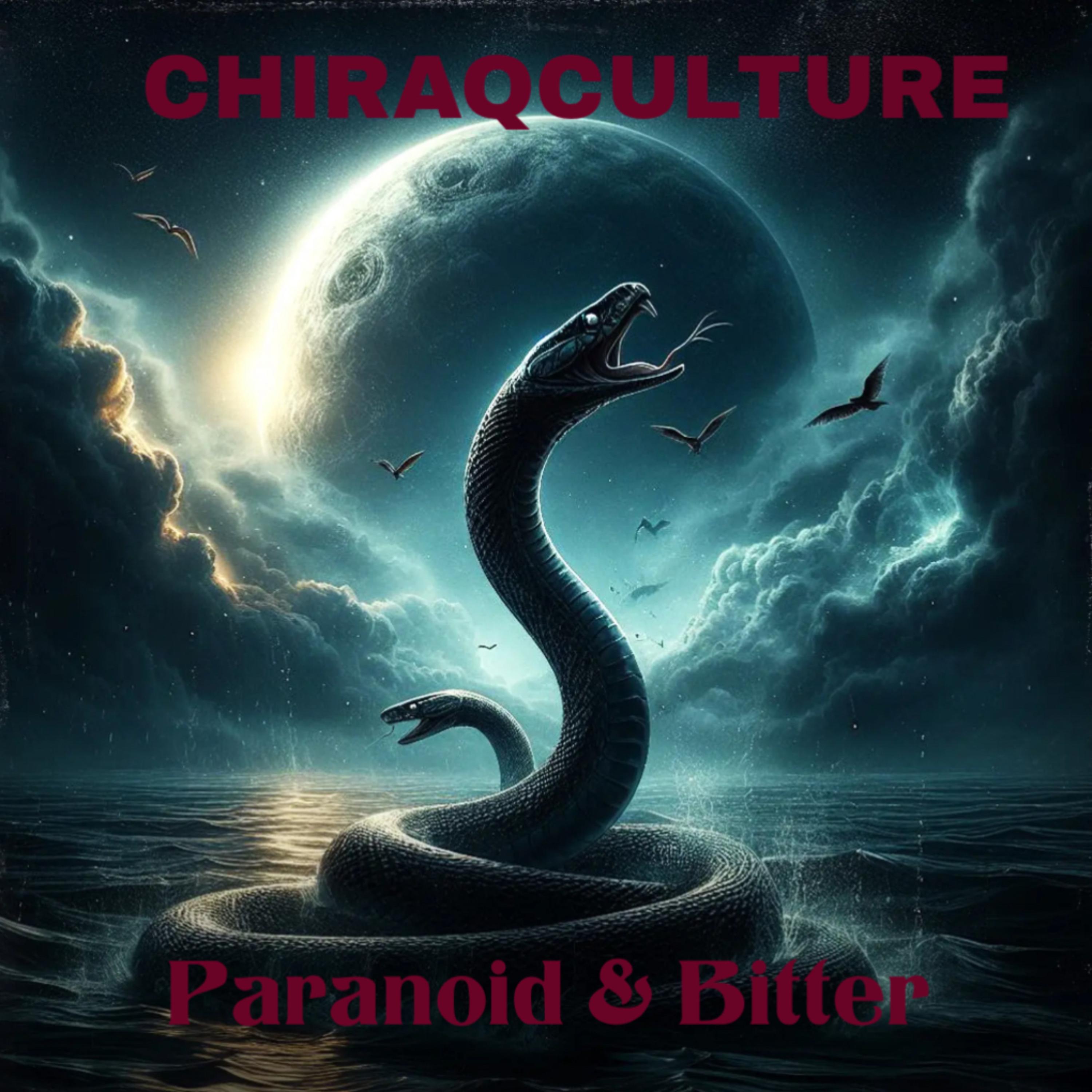 Paranoid & Bitter artwork
