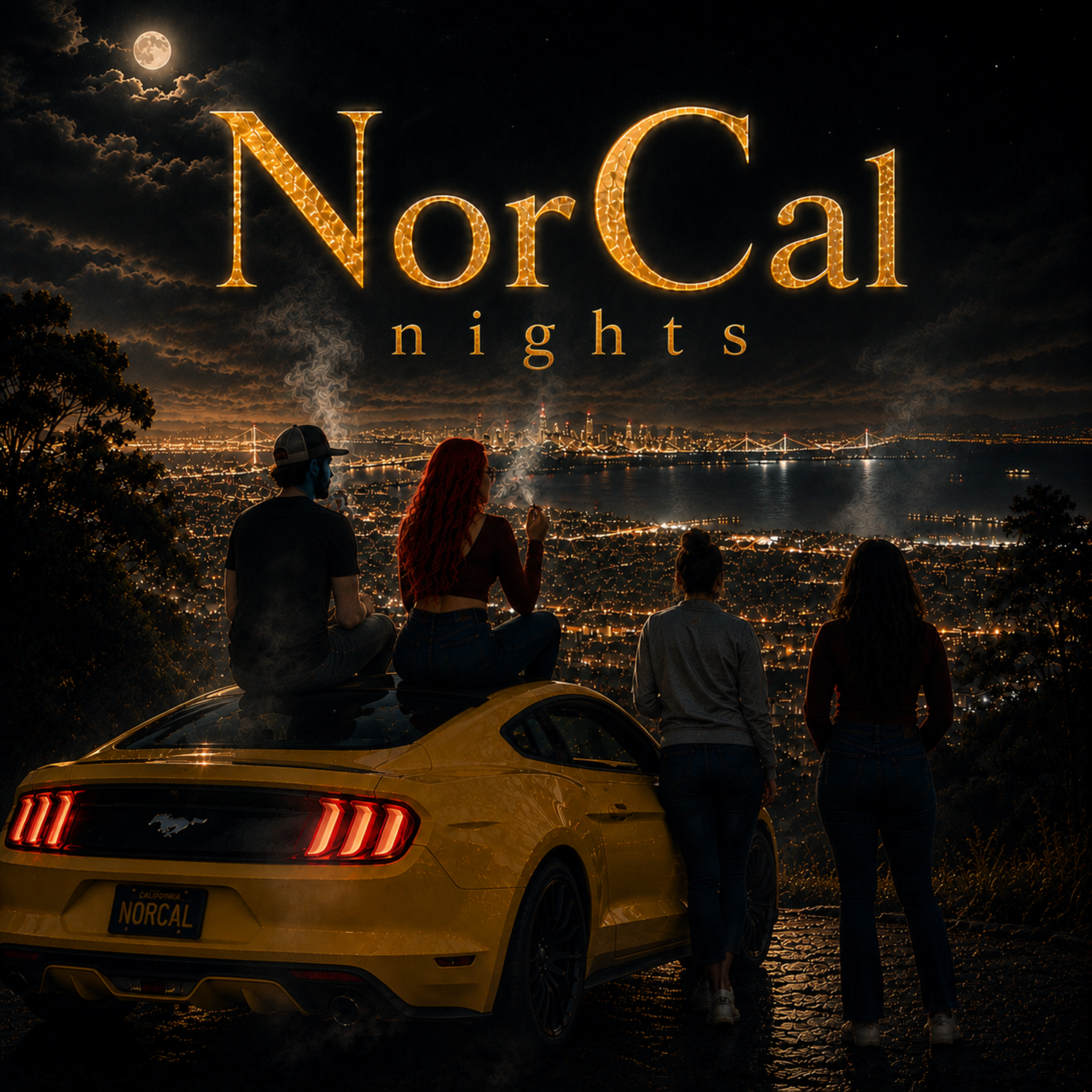 NorCal Nights by KTW cover art
