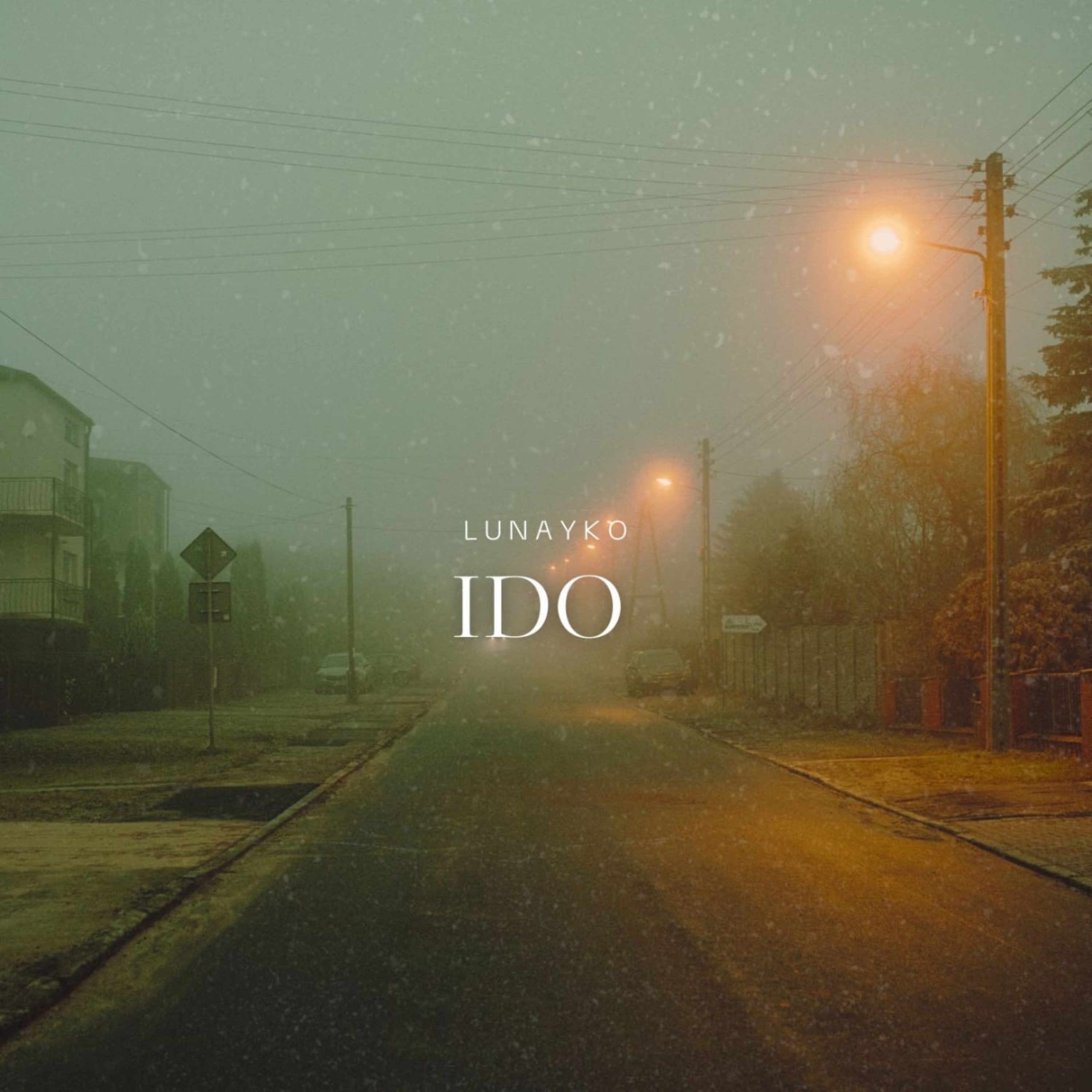 Ido artwork