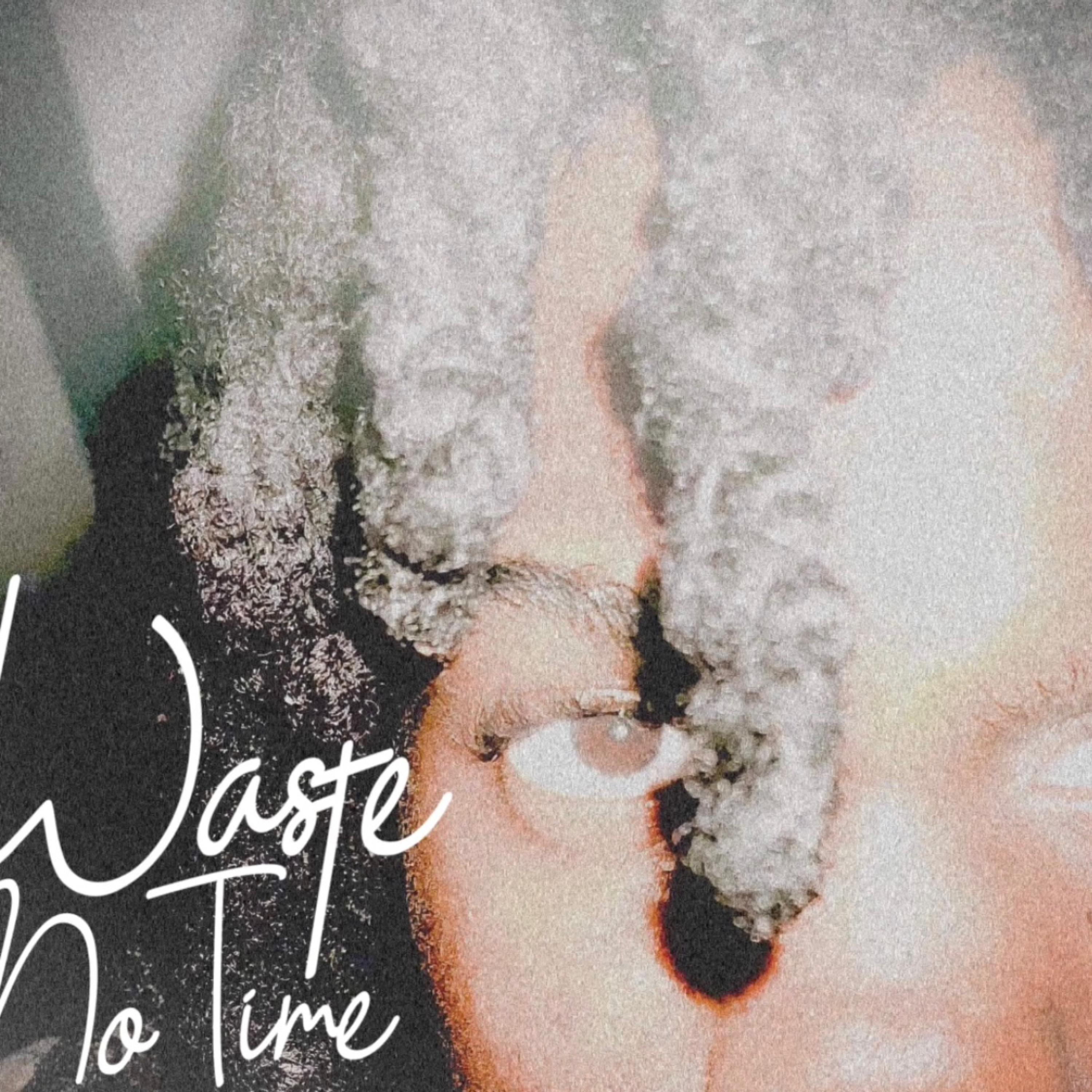 Waste No Time artwork