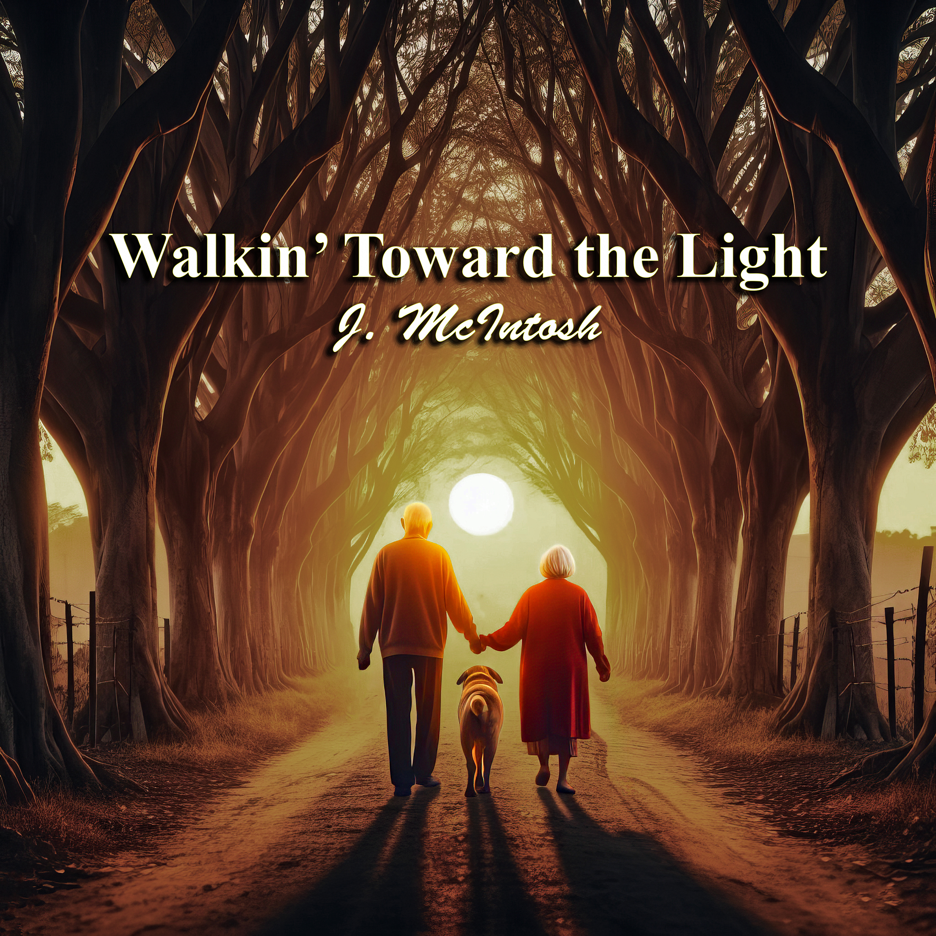 Walkin' Toward the Light by J. McIntosh cover art