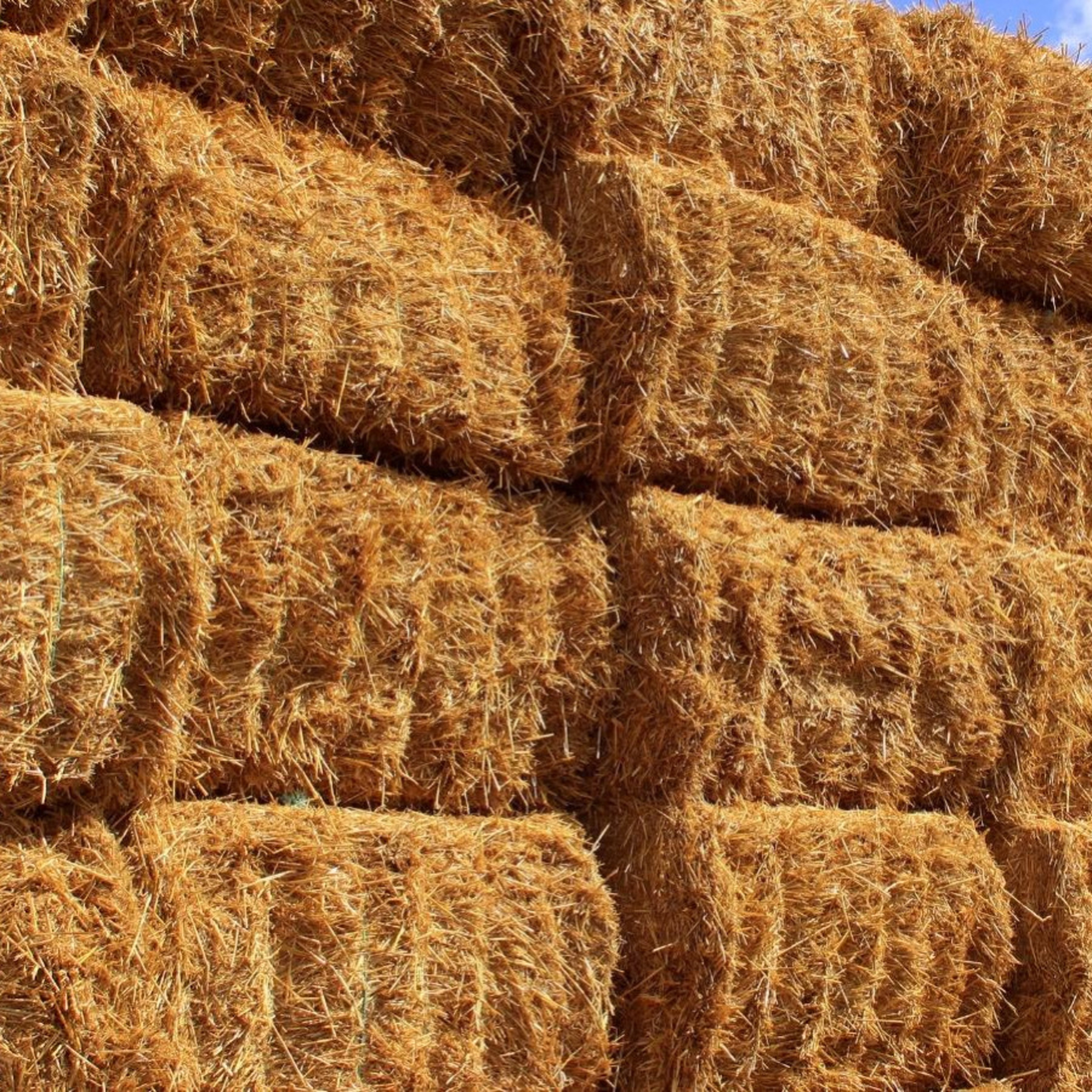 Haystack artwork