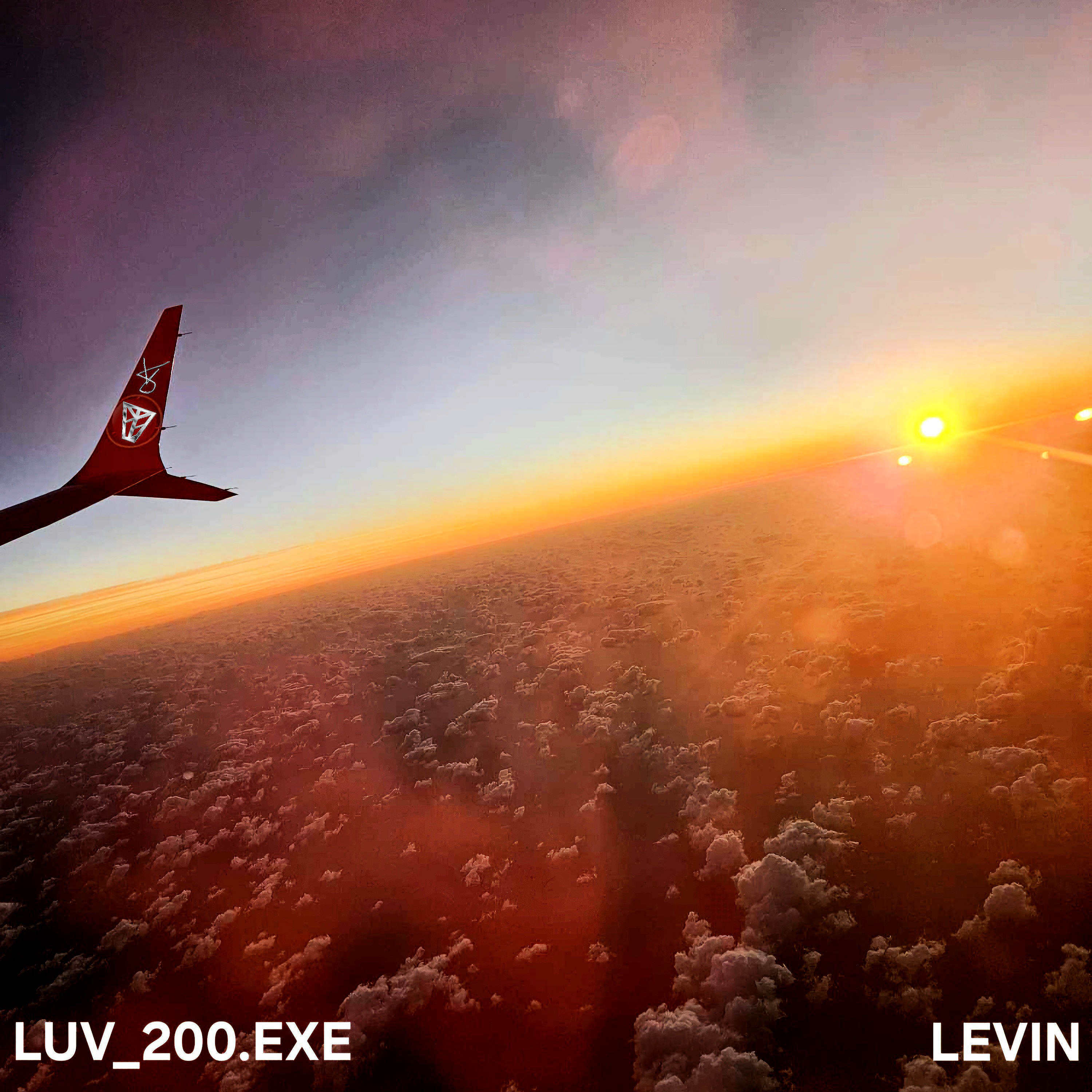 LUV_200.EXE artwork