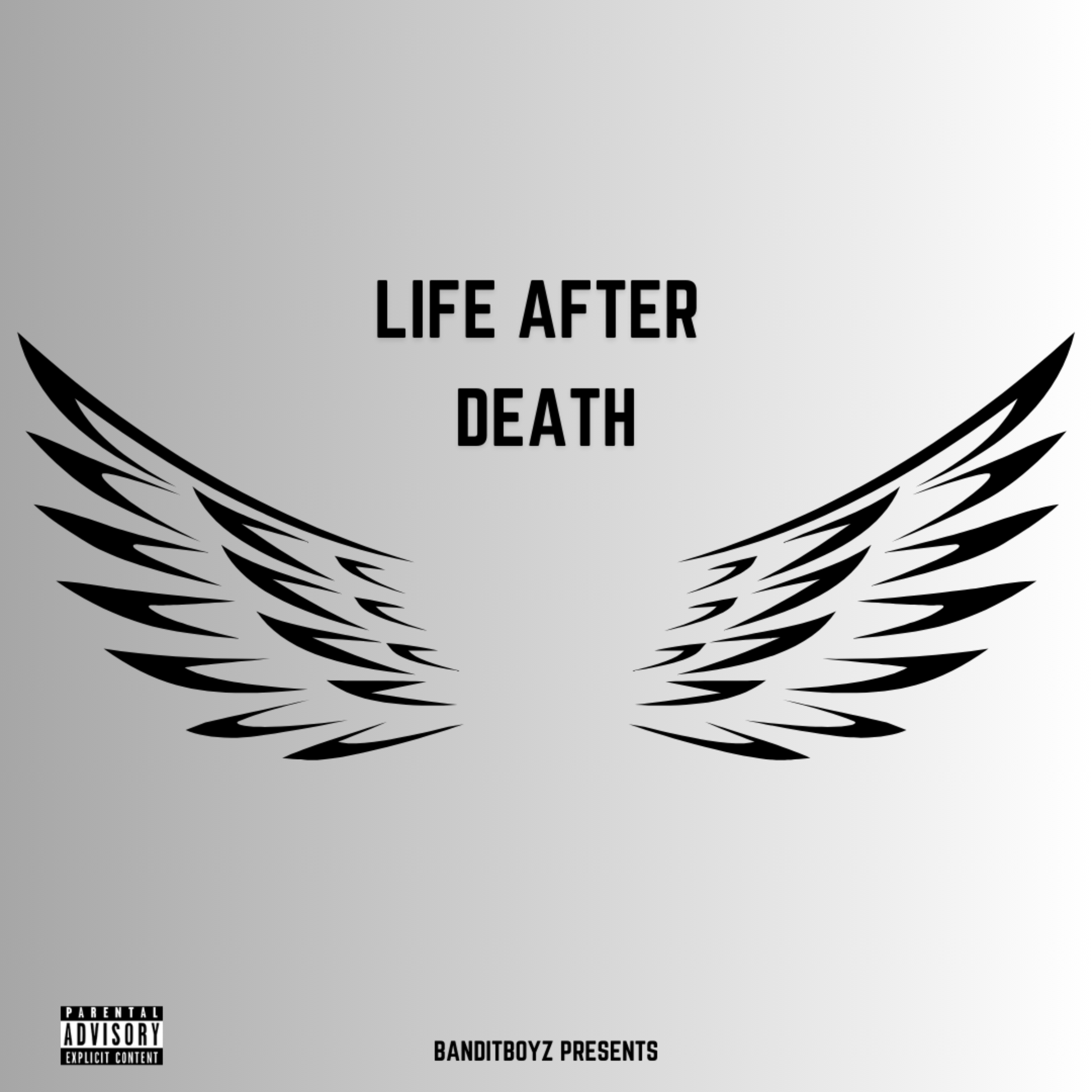 LIFE AFTER DEATH by BanditboyMont cover art