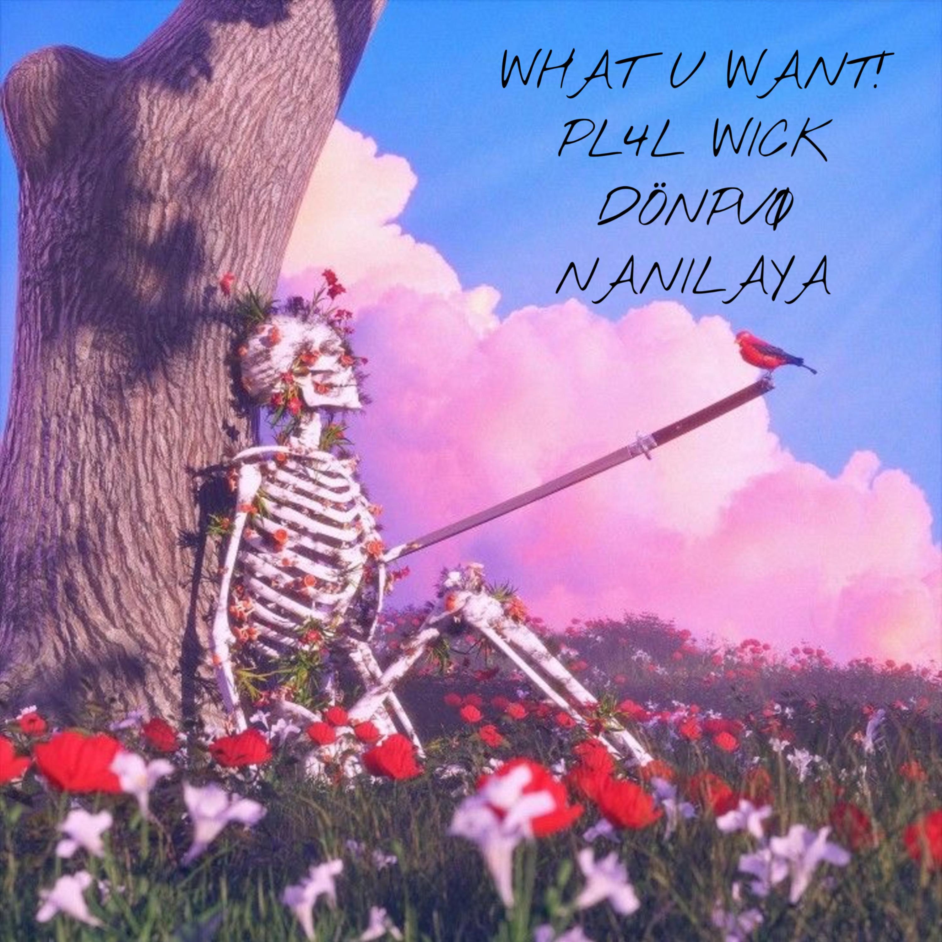 WHAT U WANT! artwork