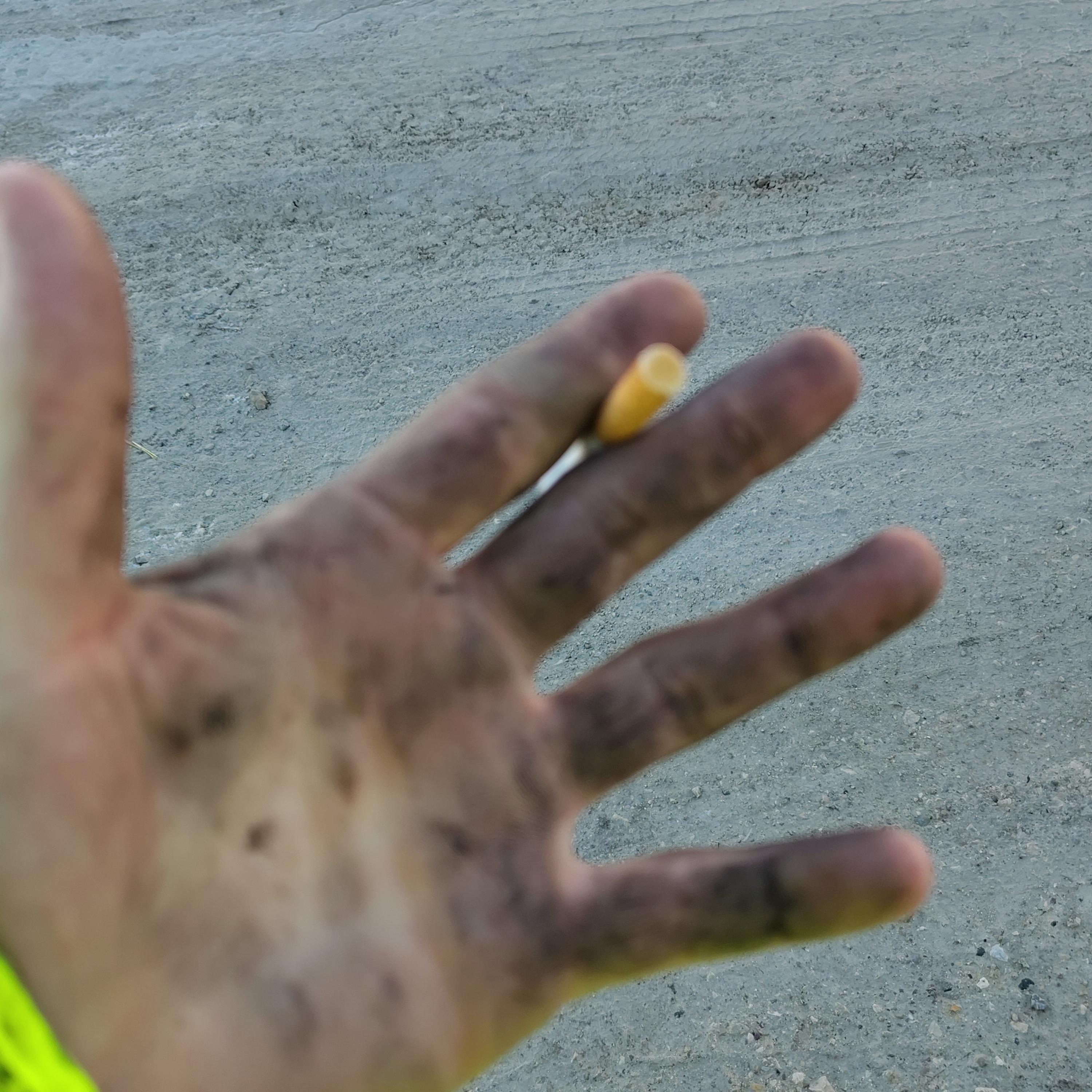 BIG DAWG OF CENTURY artwork