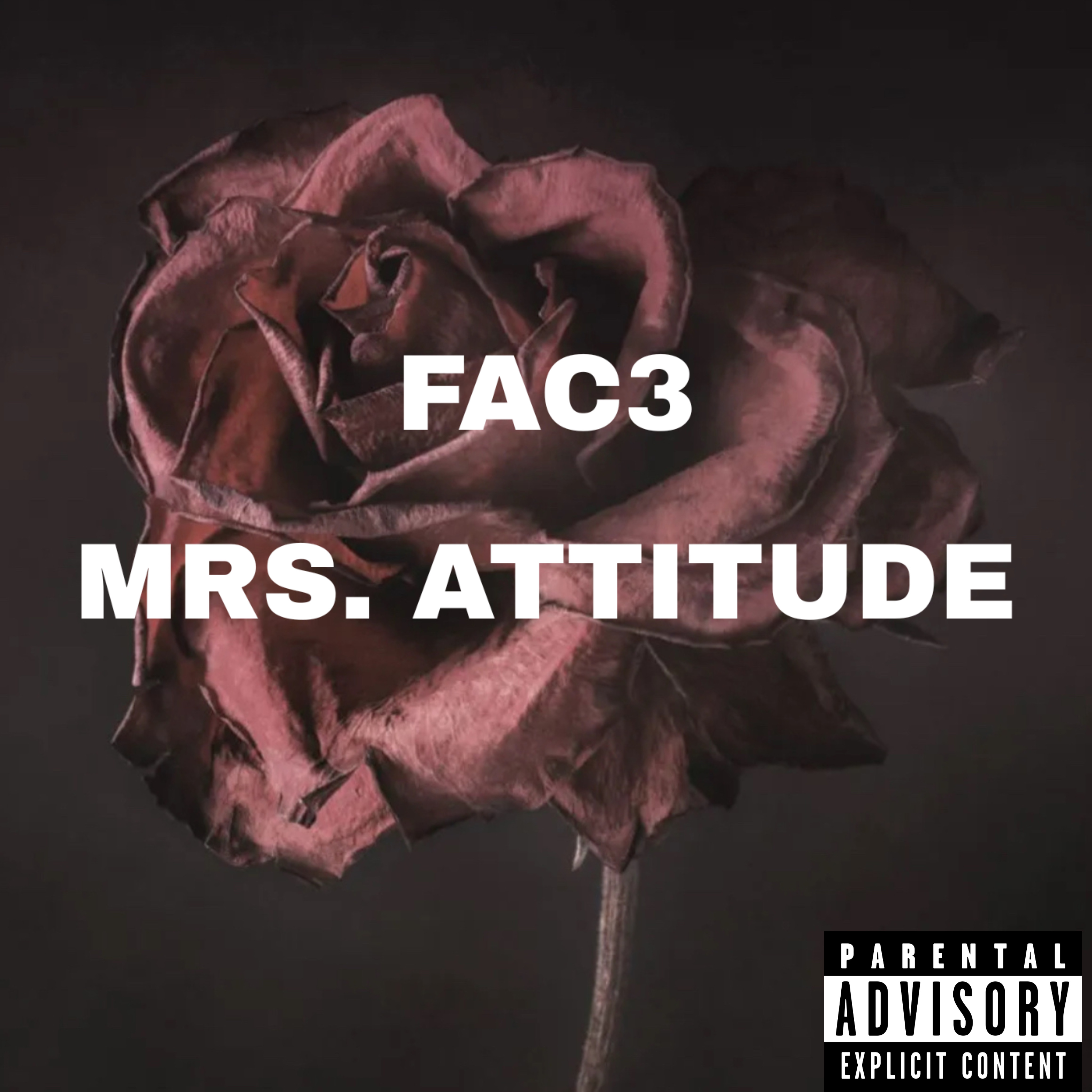 Mrs.Attitude artwork