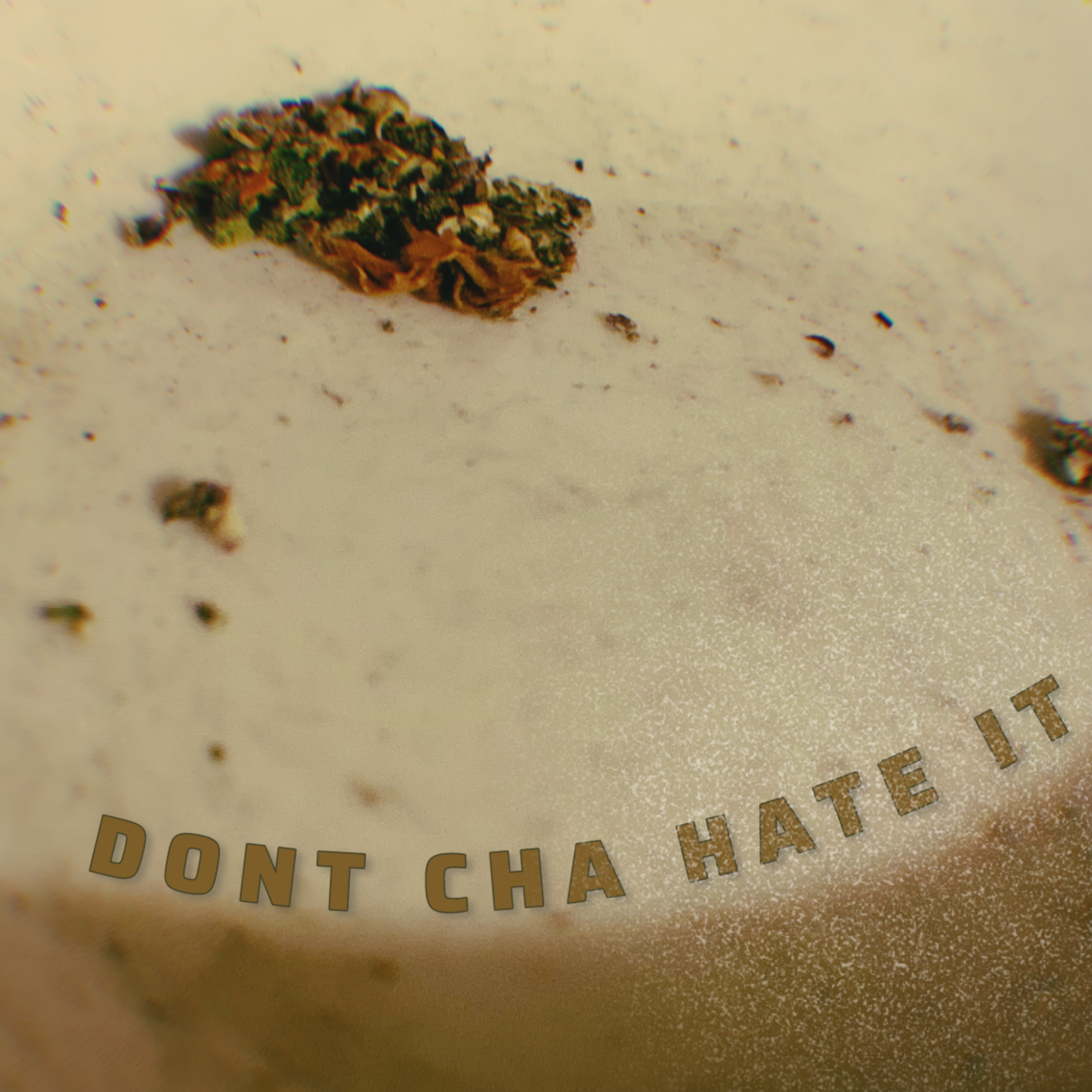 Dont Cha Hate It artwork
