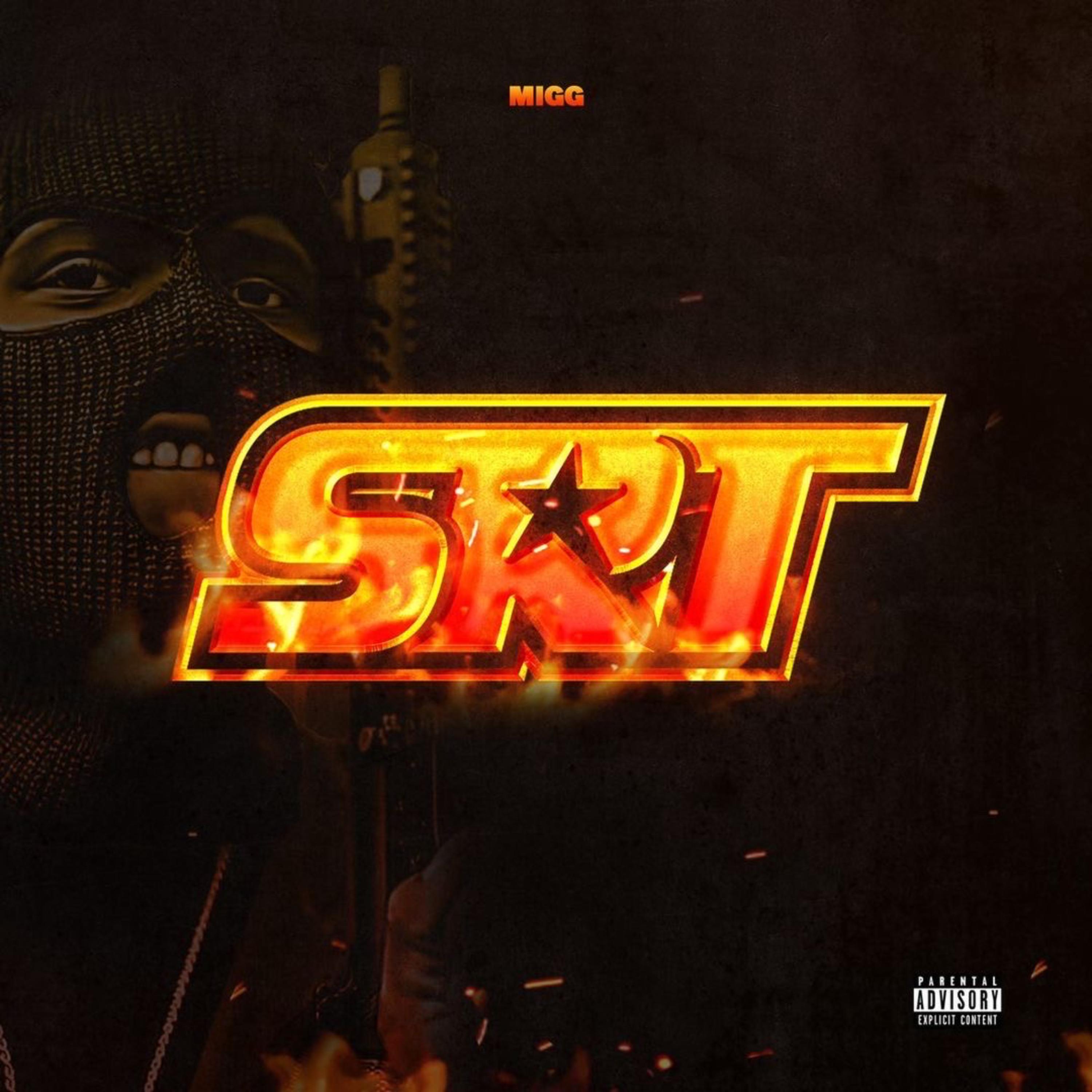 SRT artwork