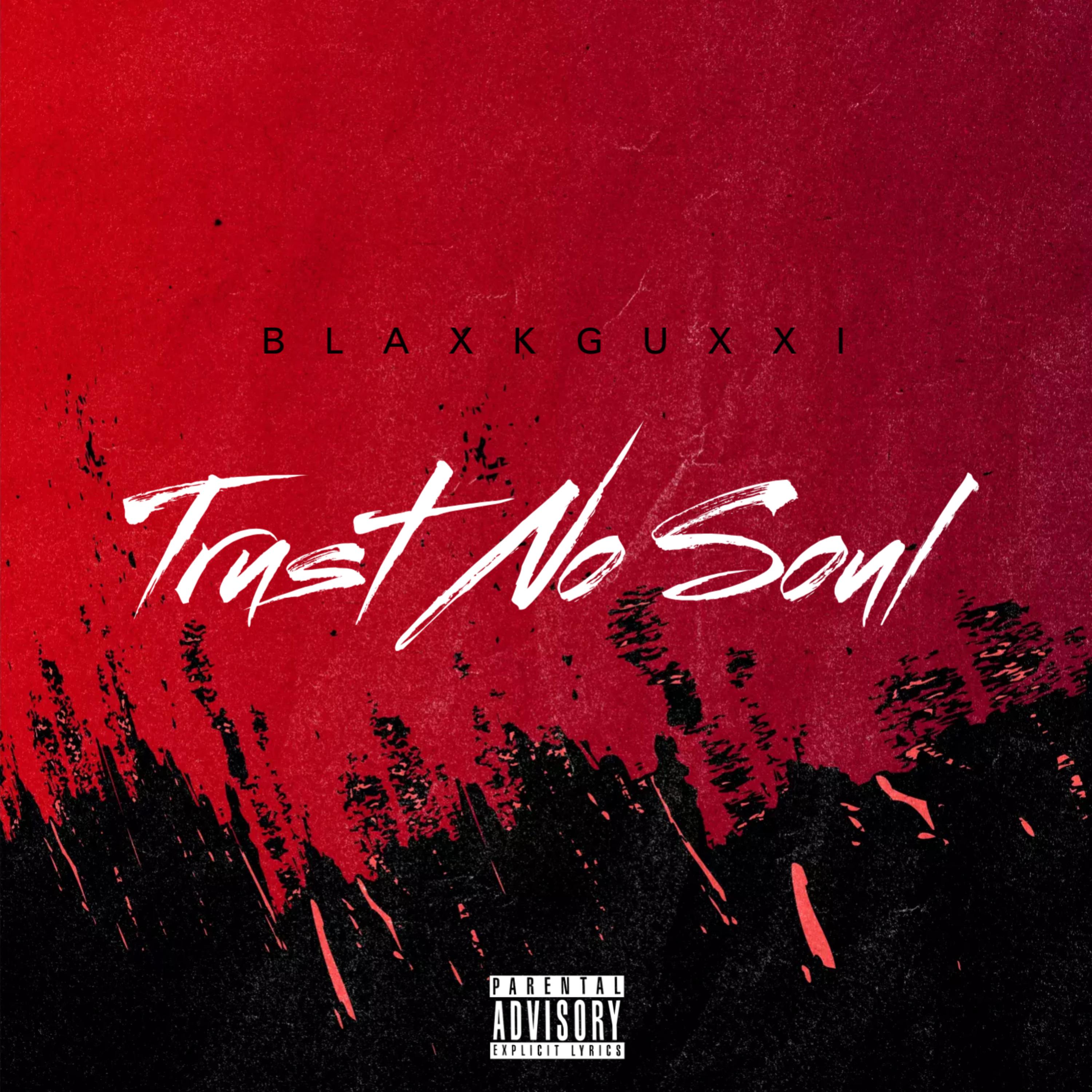Trust No Soul artwork