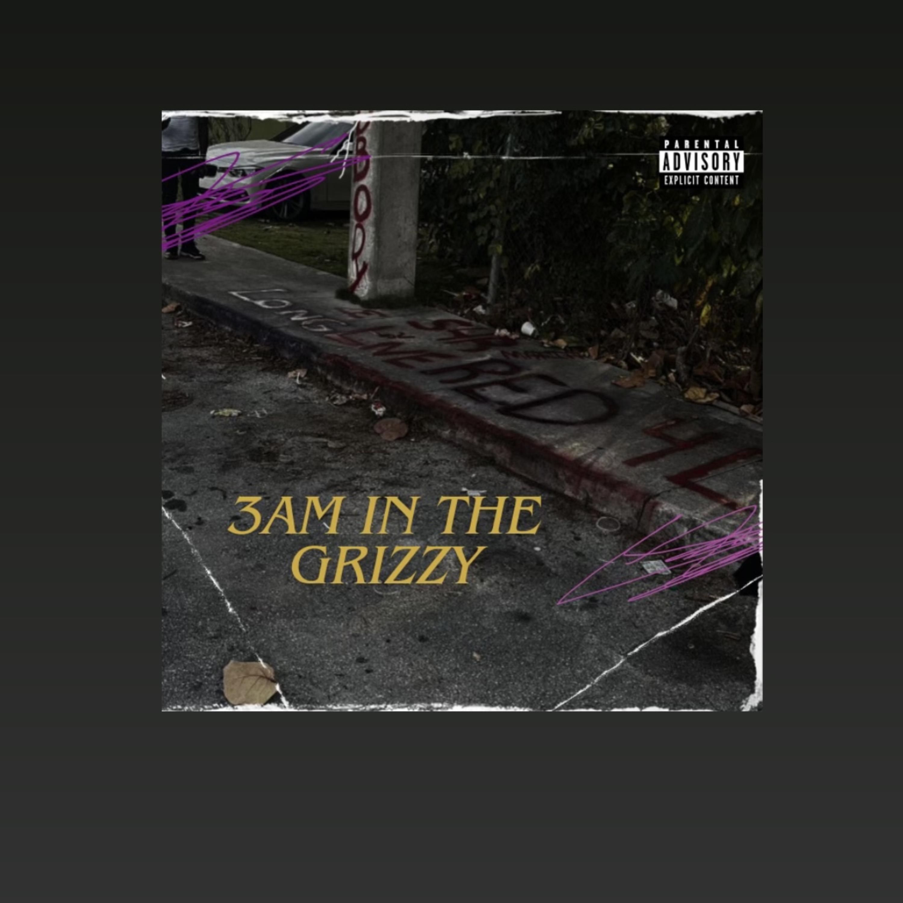 3AM In The Grizzy artwork
